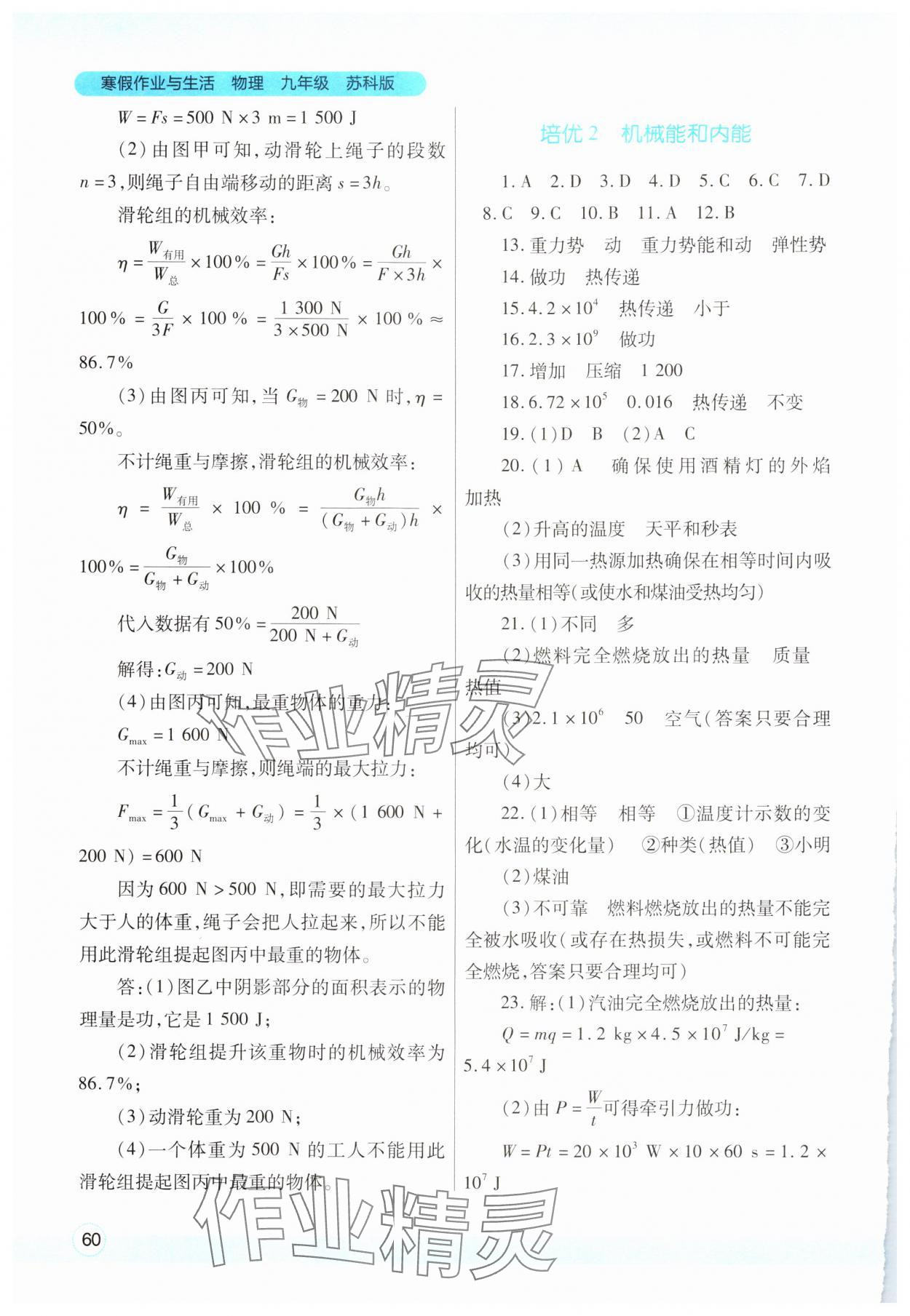 2025年寒假作業(yè)與生活陜西師范大學出版總社九年級物理蘇科版 第2頁