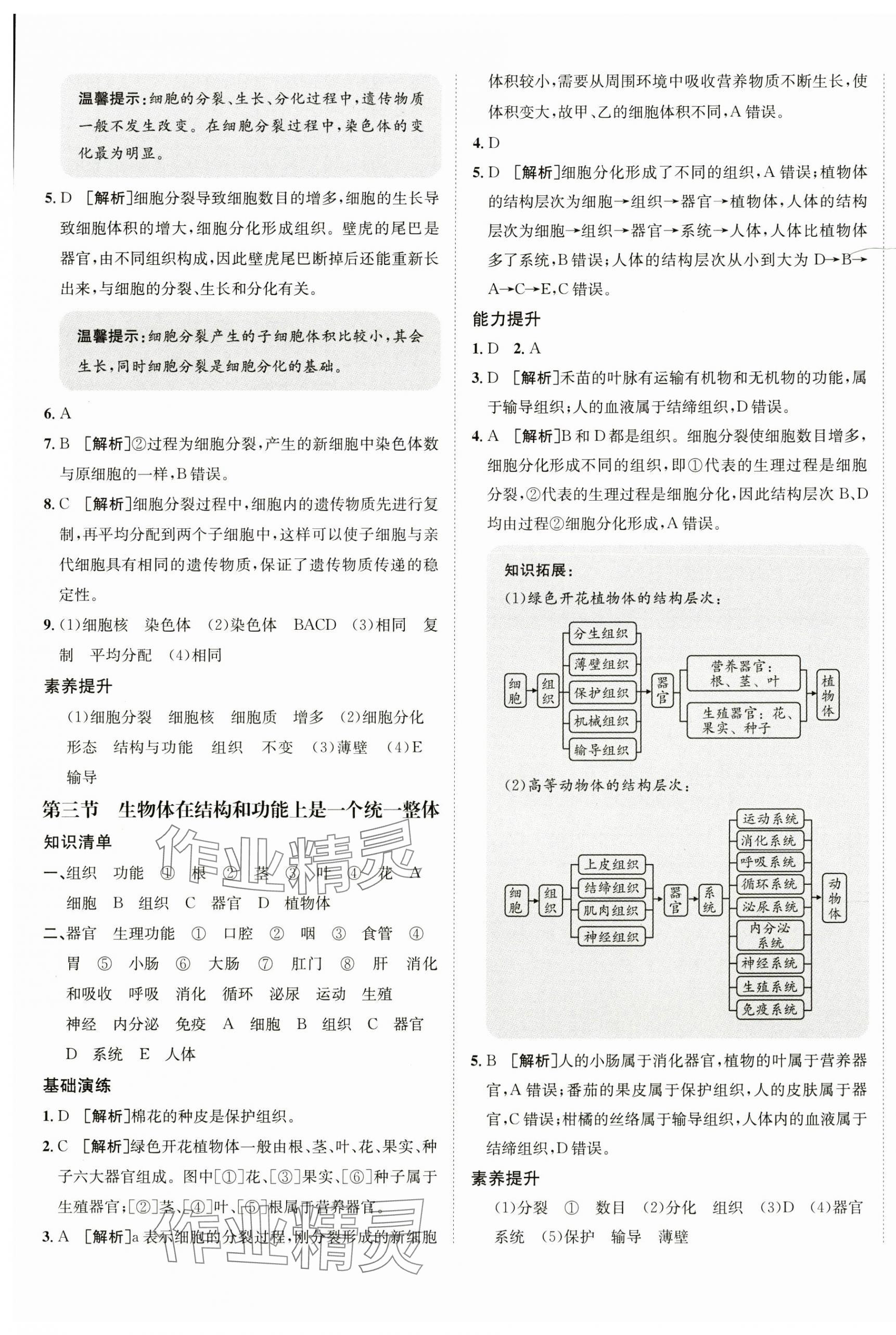 2024年同行學(xué)案七年級(jí)生物上冊(cè)濟(jì)南版 第5頁(yè)