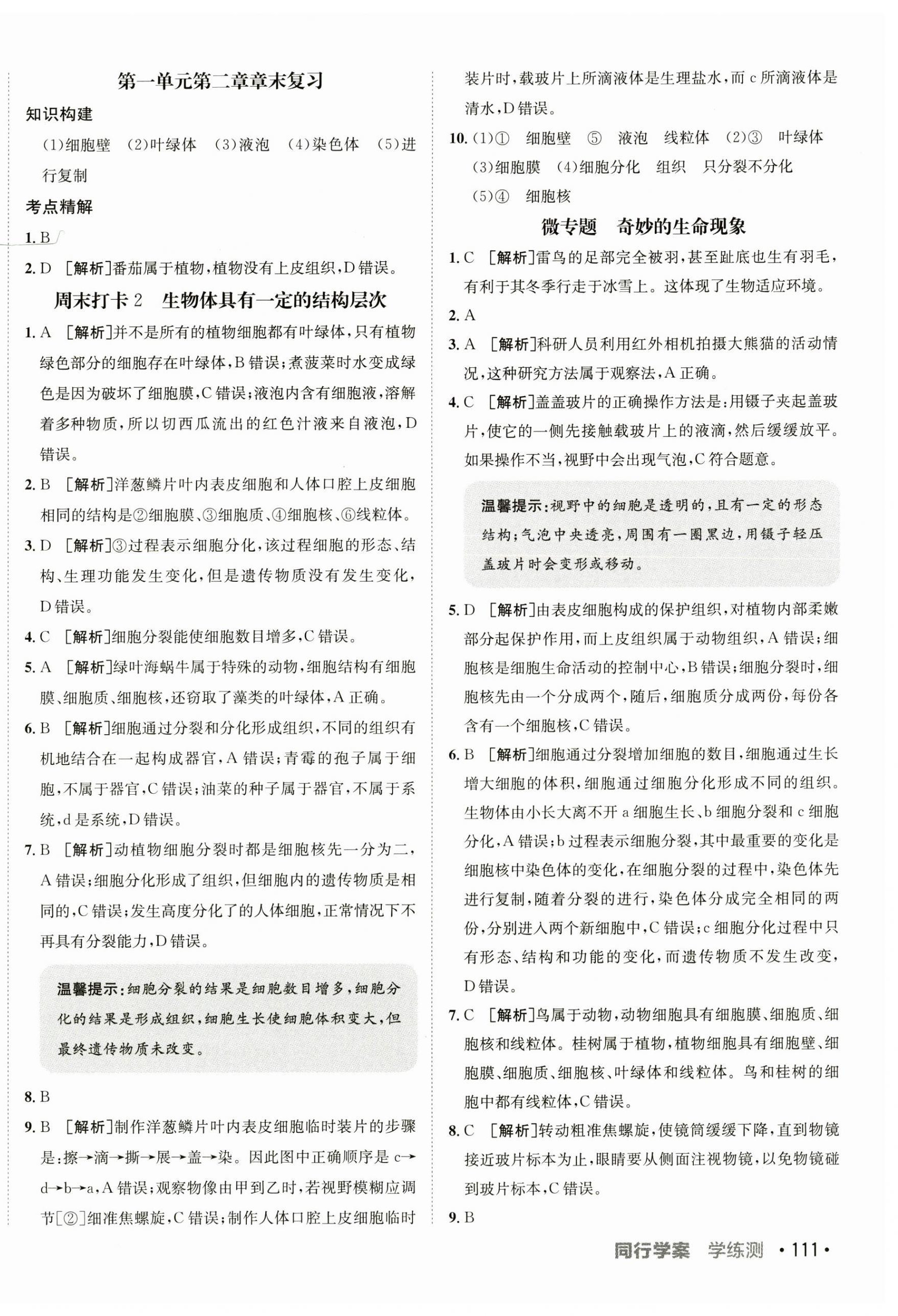 2024年同行學(xué)案七年級生物上冊濟南版 第6頁