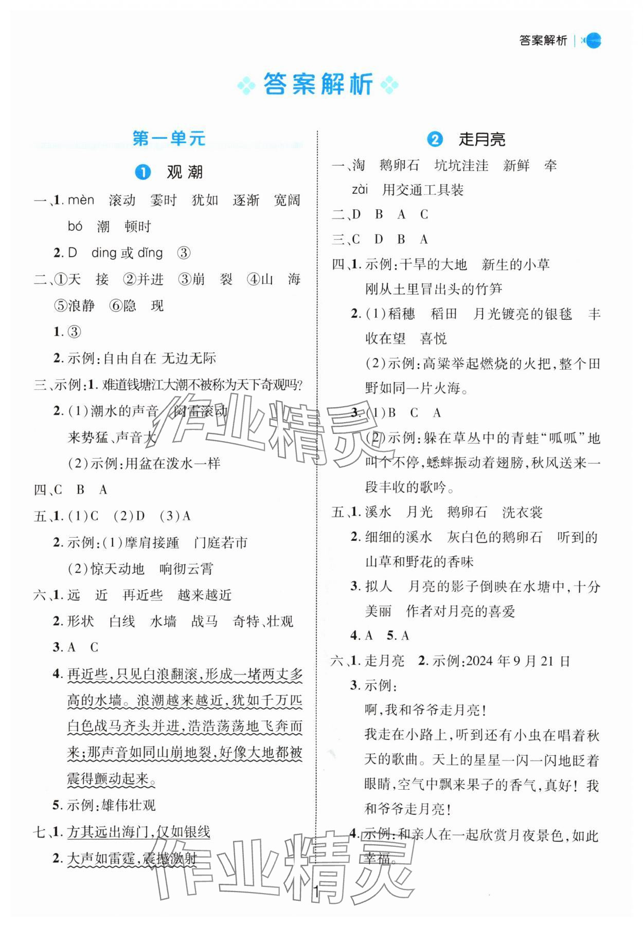 2024年细解巧练四年级语文上册人教版 参考答案第1页