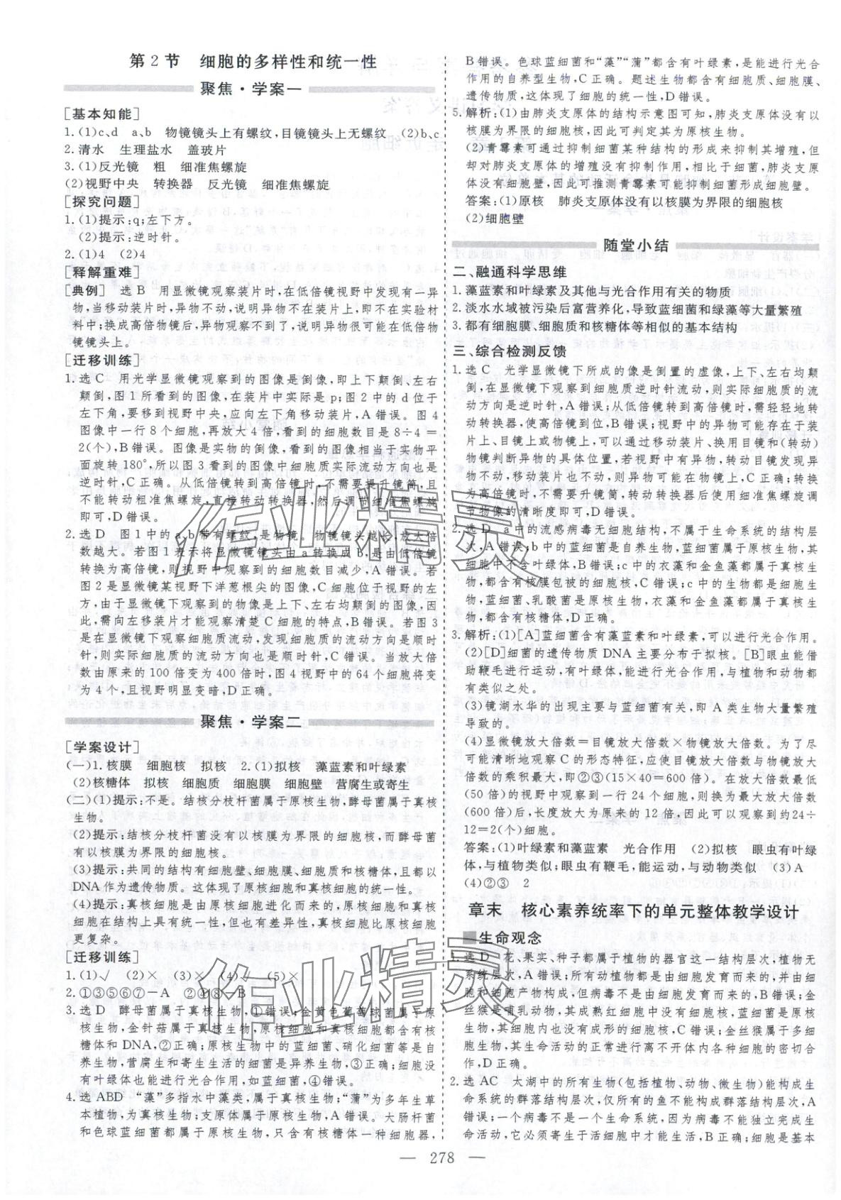 2025年芝麻开花美在课堂高一生物必修第一册人教版 第2页