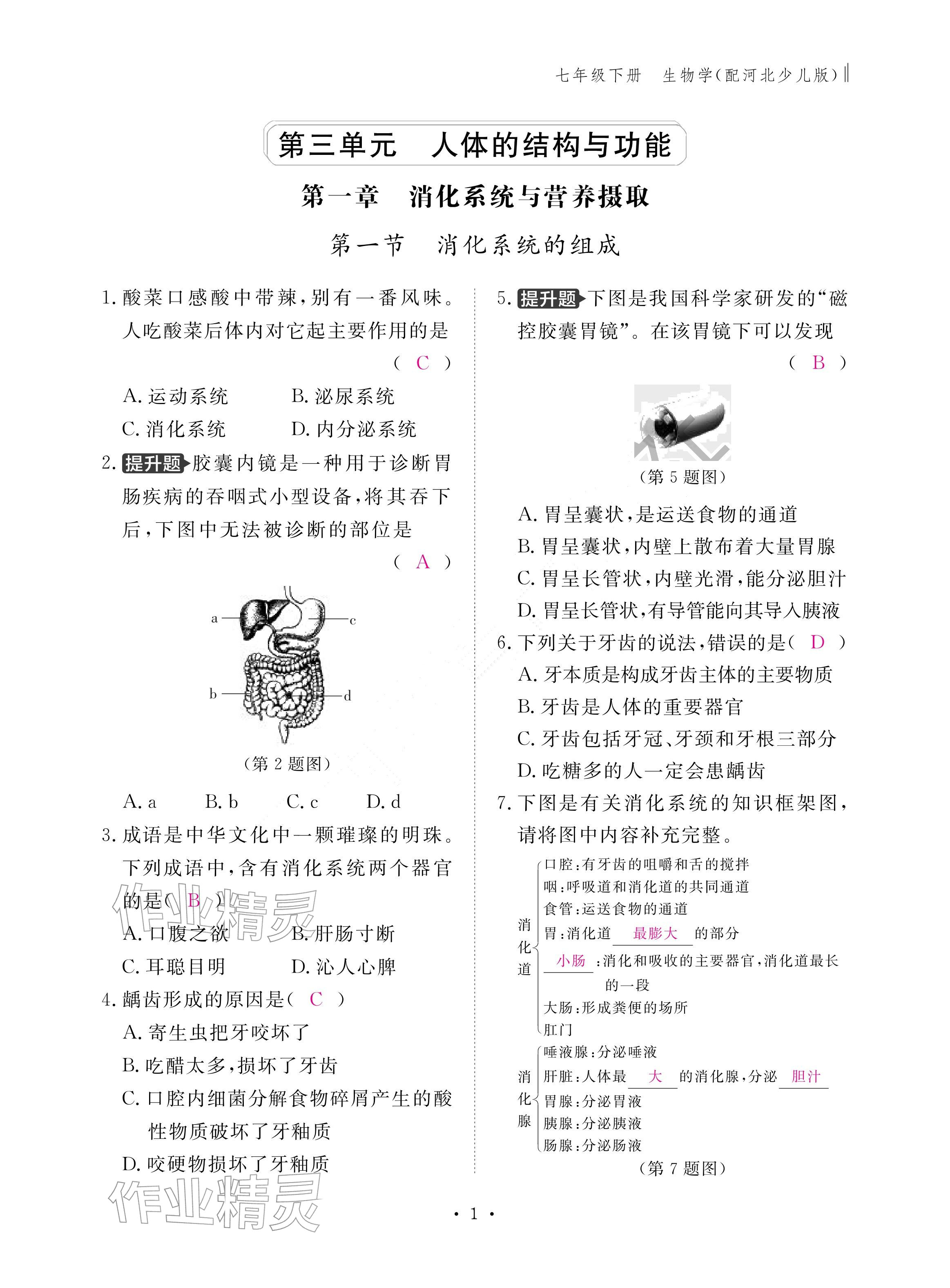 2026年作业本江西教育出版社七年级生物下册冀少版&nbsp;参考答案第1页