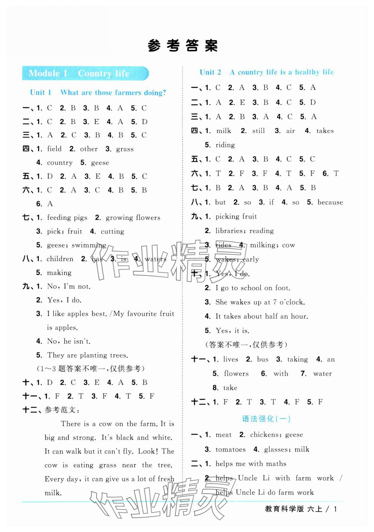 2024年陽光同學(xué)課時優(yōu)化作業(yè)六年級英語上冊教科版廣州專版 參考答案第1頁