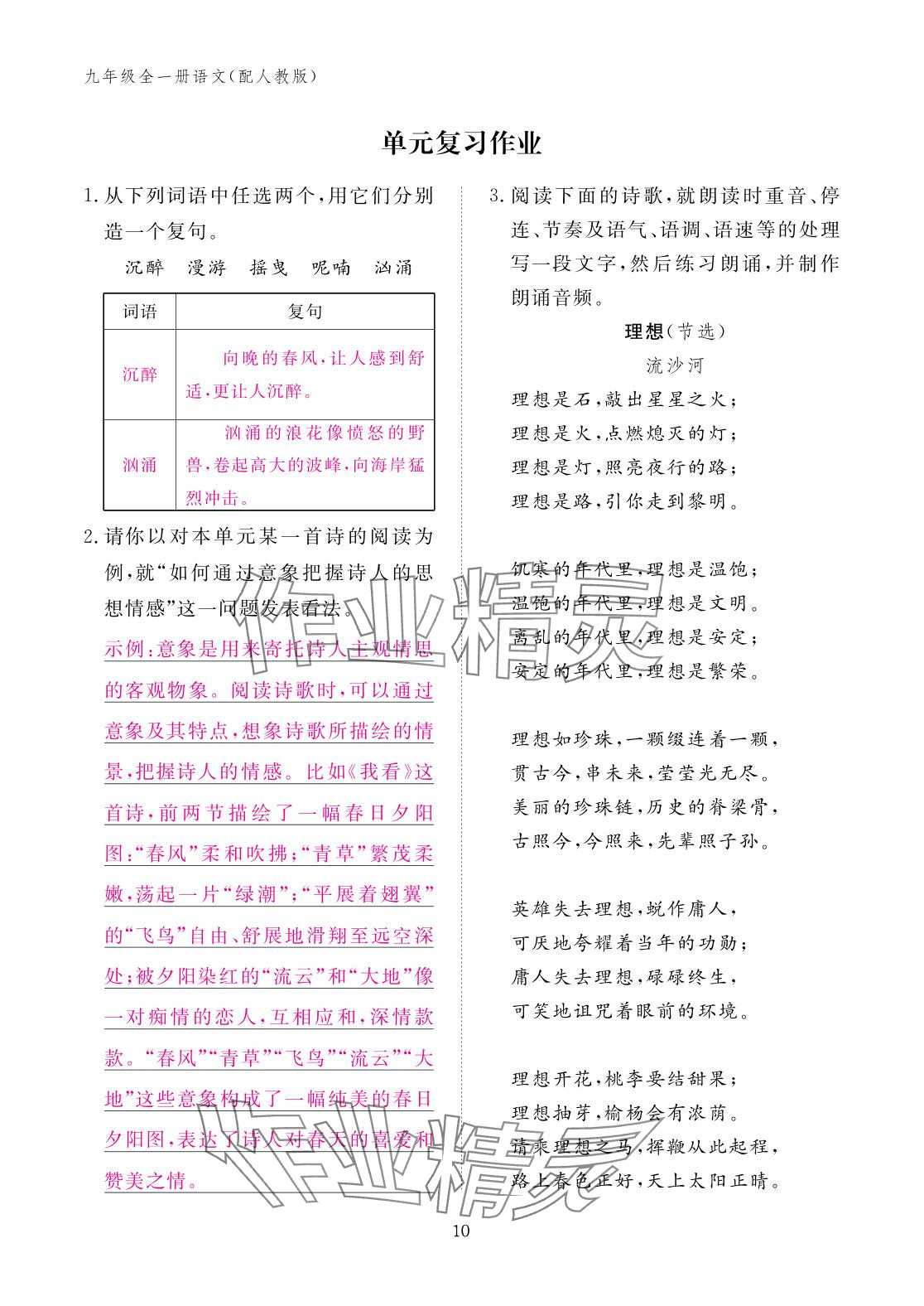 2025年作业本江西教育出版社九年级语文全一册人教版 参考答案第10页