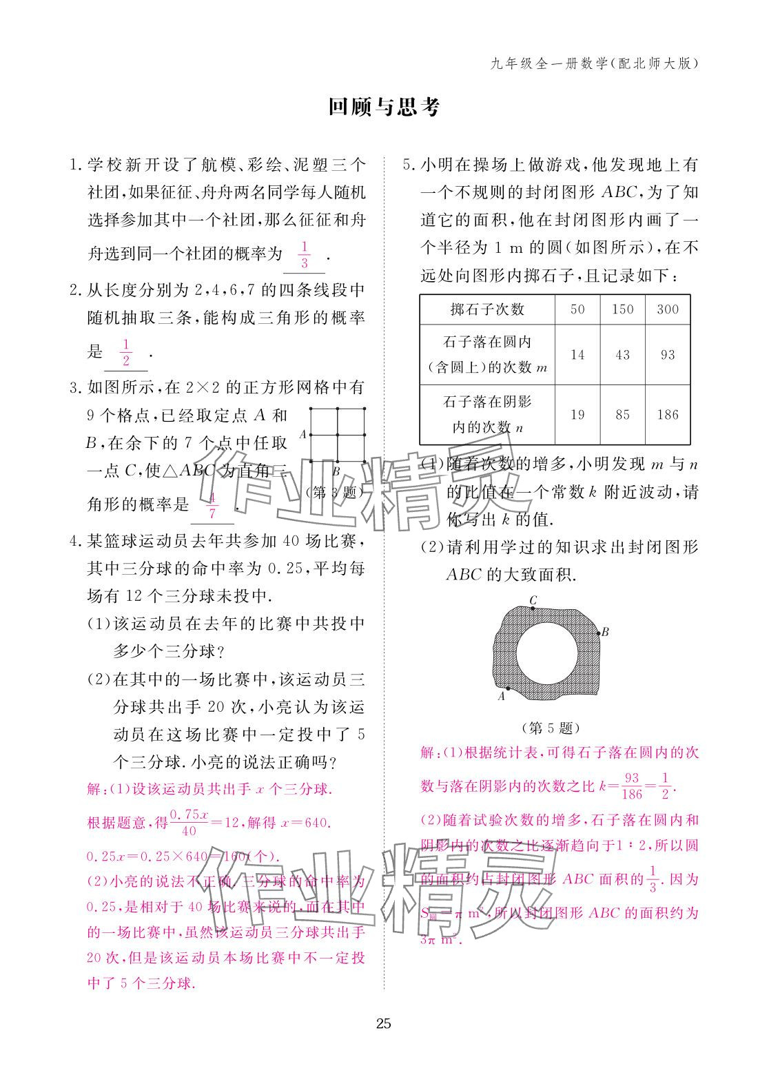 2025年作业本江西教育出版社九年级数学全一册北师大版 参考答案第25页
