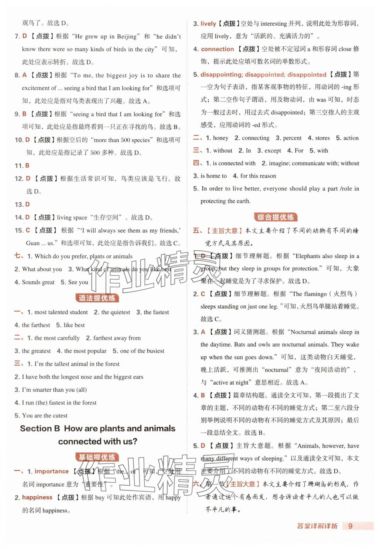 2025年綜合應用創新題典中點八年級英語上冊人教版河南專版&nbsp;第9頁