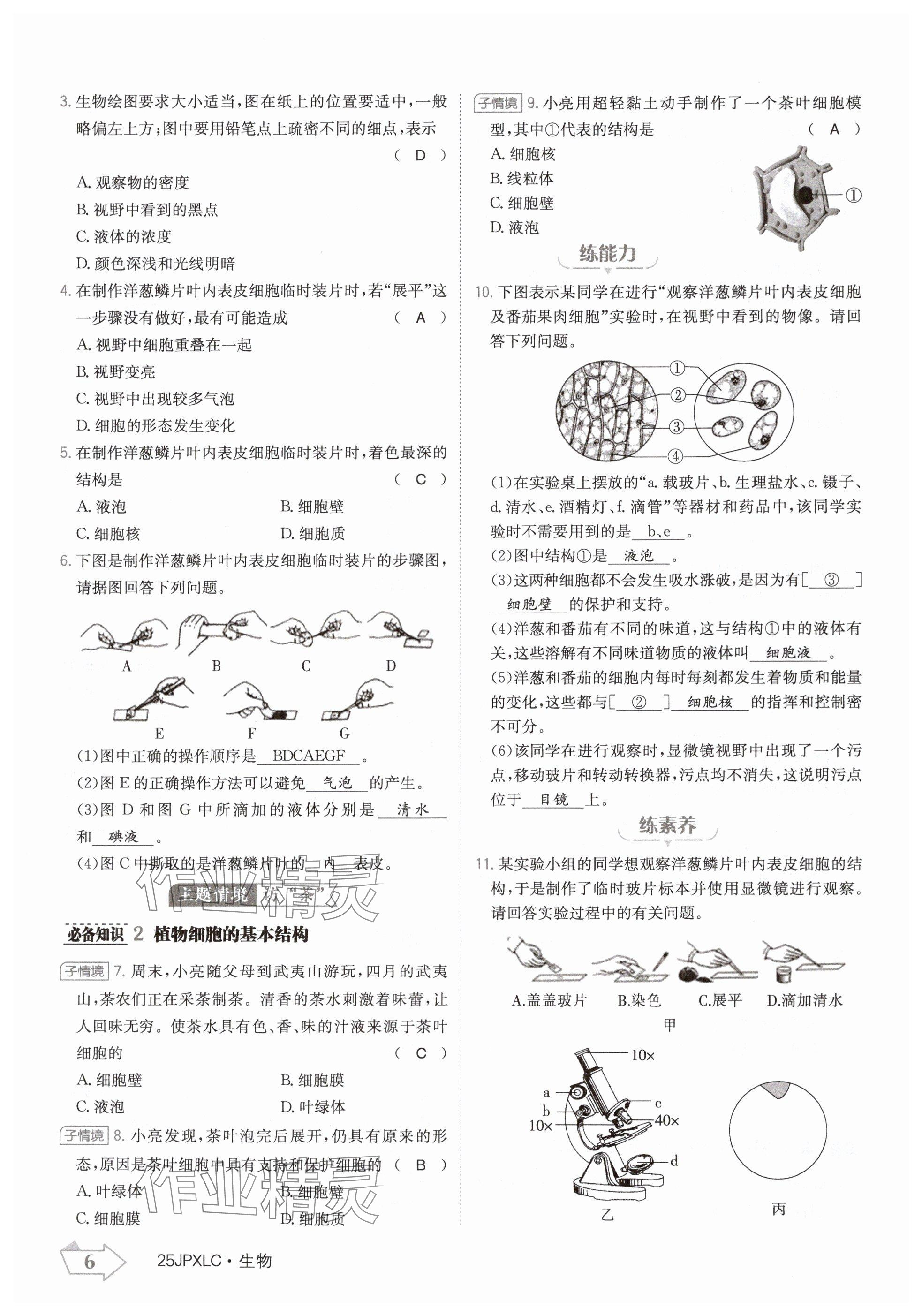 2024年金牌學(xué)練測(cè)七年級(jí)生物上冊(cè)人教版 參考答案第6頁