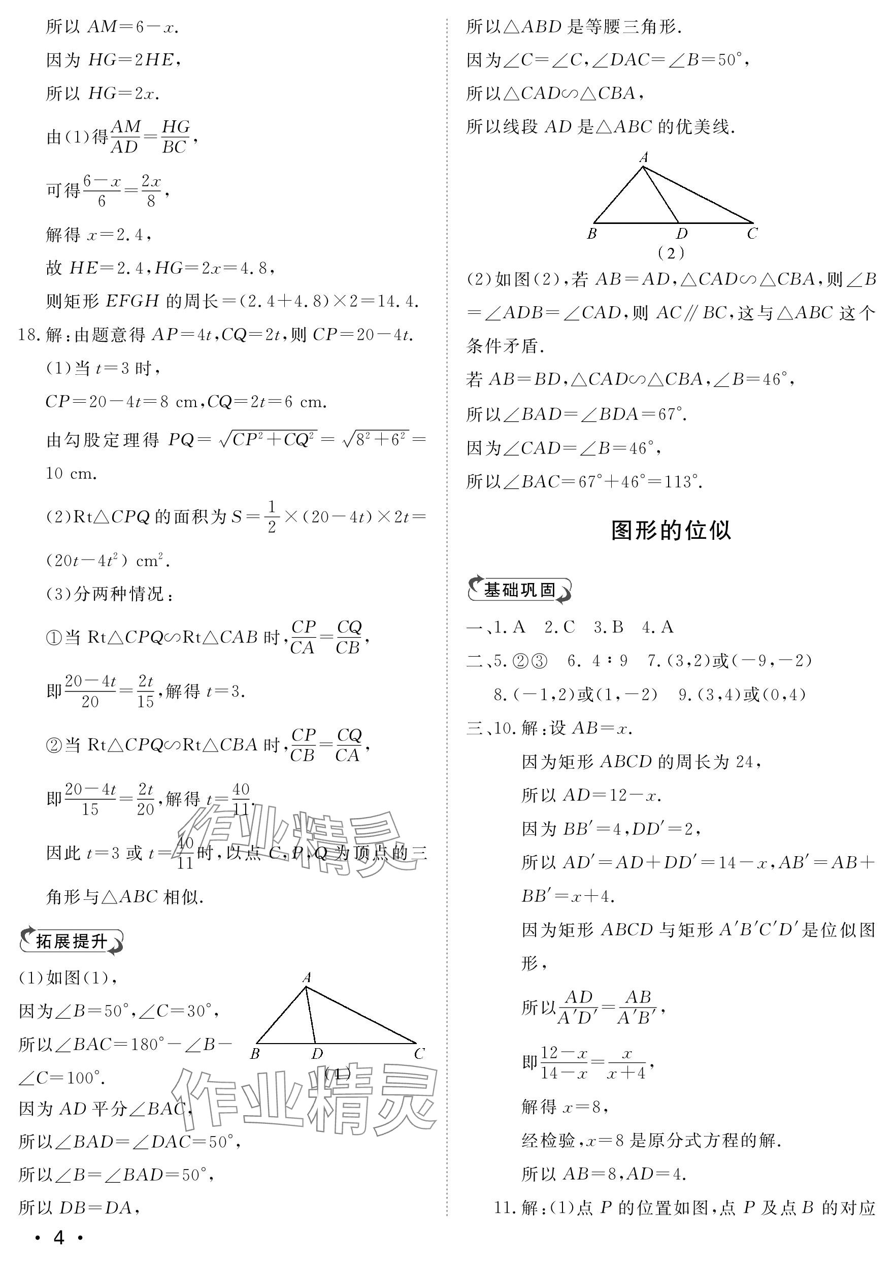 2023年行知天下九年级数学上册青岛版 参考答案第4页