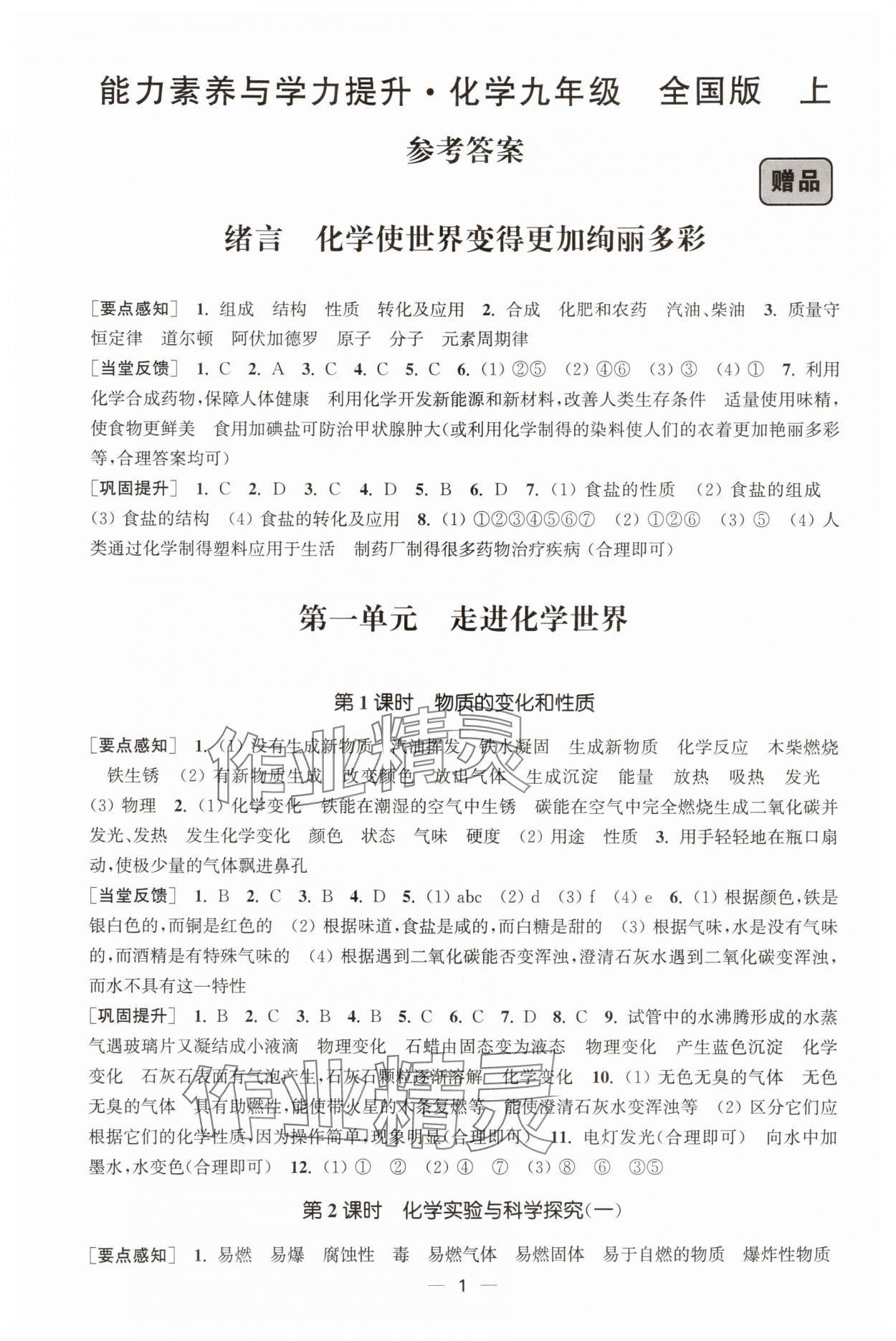2025年能力素养与学力提升九年级化学上册人教版 第1页