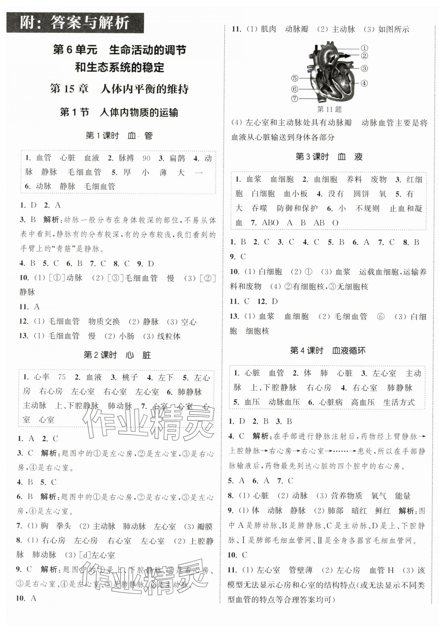 2024年通城學(xué)典課時(shí)作業(yè)本八年級(jí)生物上冊(cè)蘇科版 第1頁(yè)