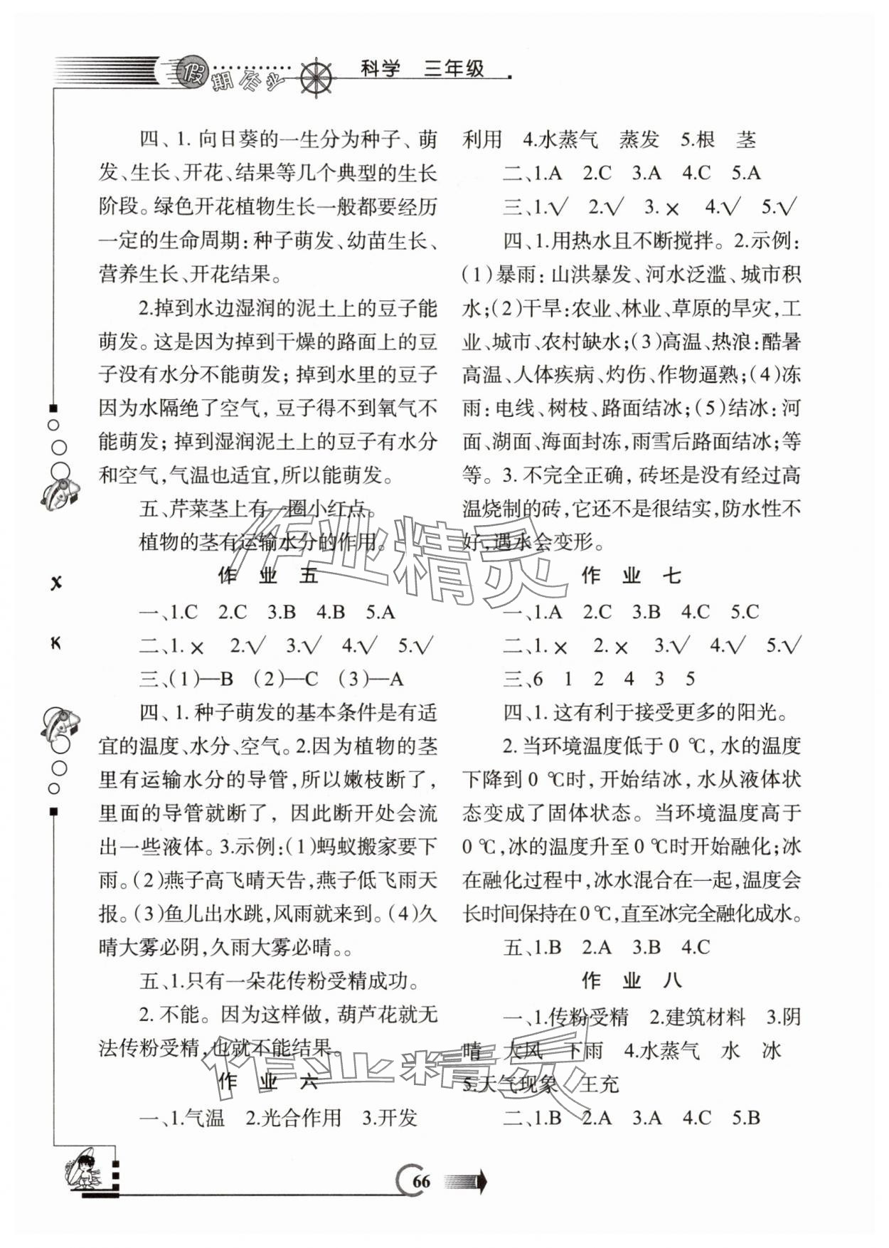 2025年假期作业西安出版社三年级科学湘科版 第2页