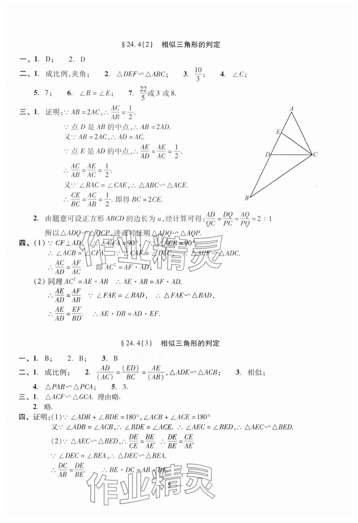 2024年單元測(cè)試光明日?qǐng)?bào)出版社九年級(jí)數(shù)學(xué)全一冊(cè)滬教版五四制 參考答案第5頁