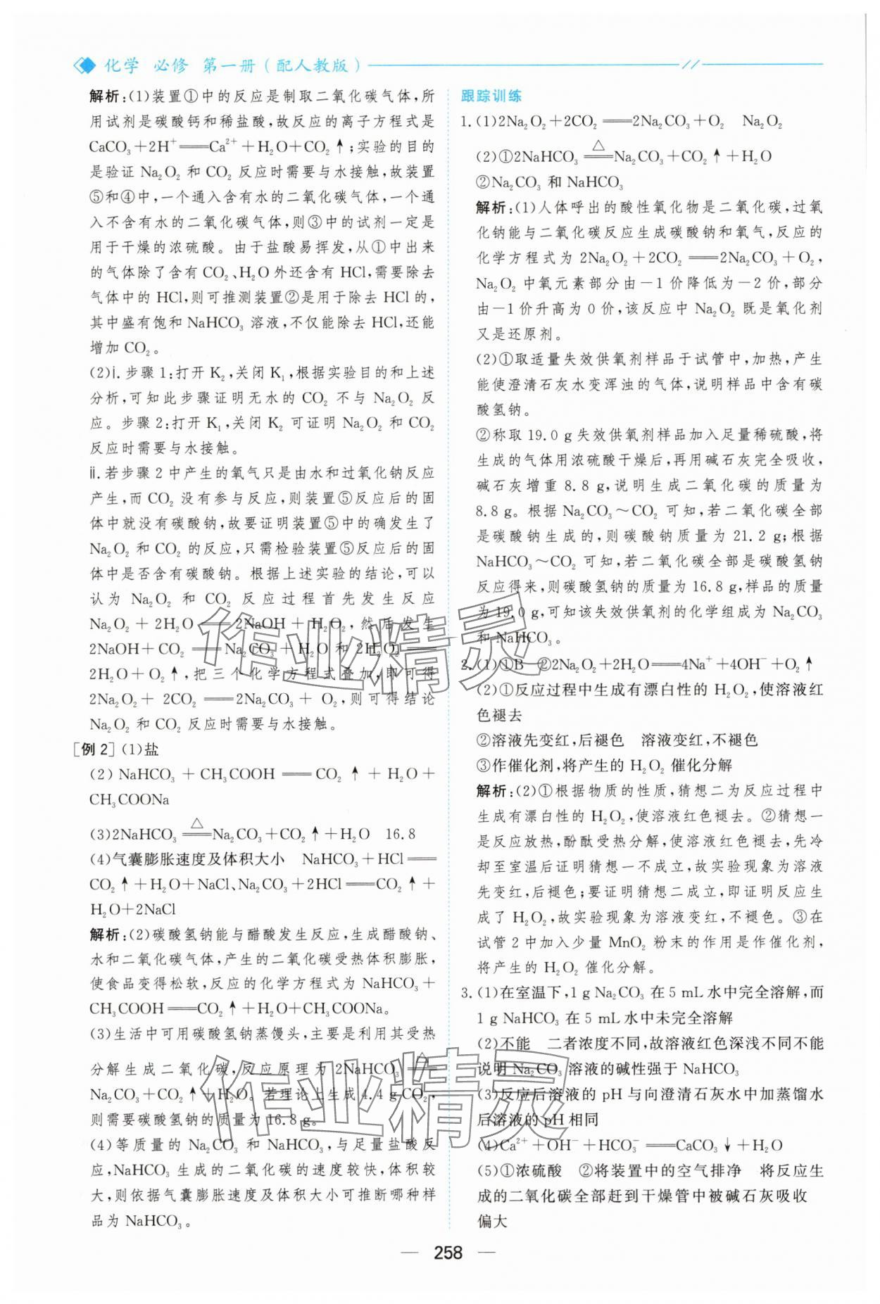 2025年新课程学习与测评高中化学必修第一册人教版&nbsp;参考答案第13页