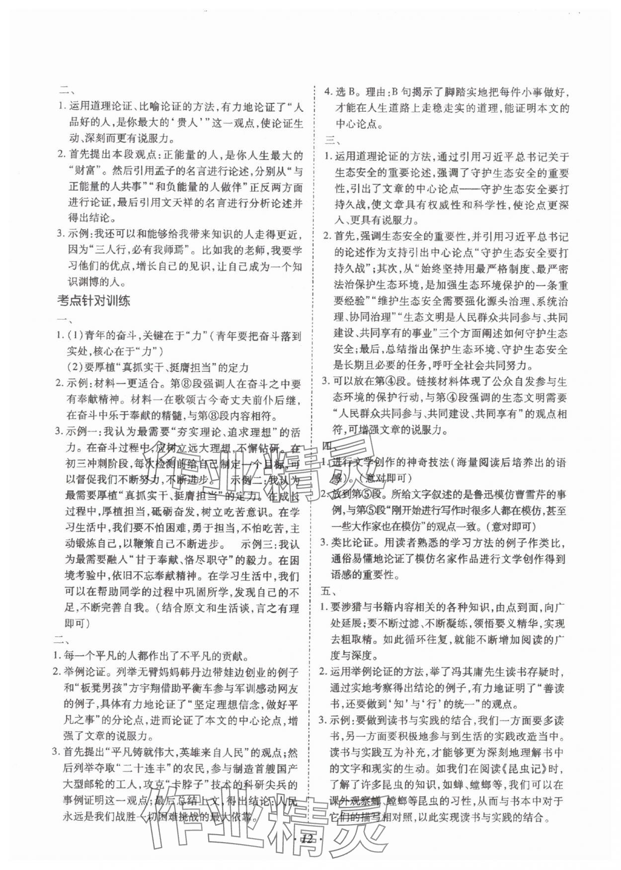 2025年本土攻略精準復習方案語文云南專版 參考答案第12頁