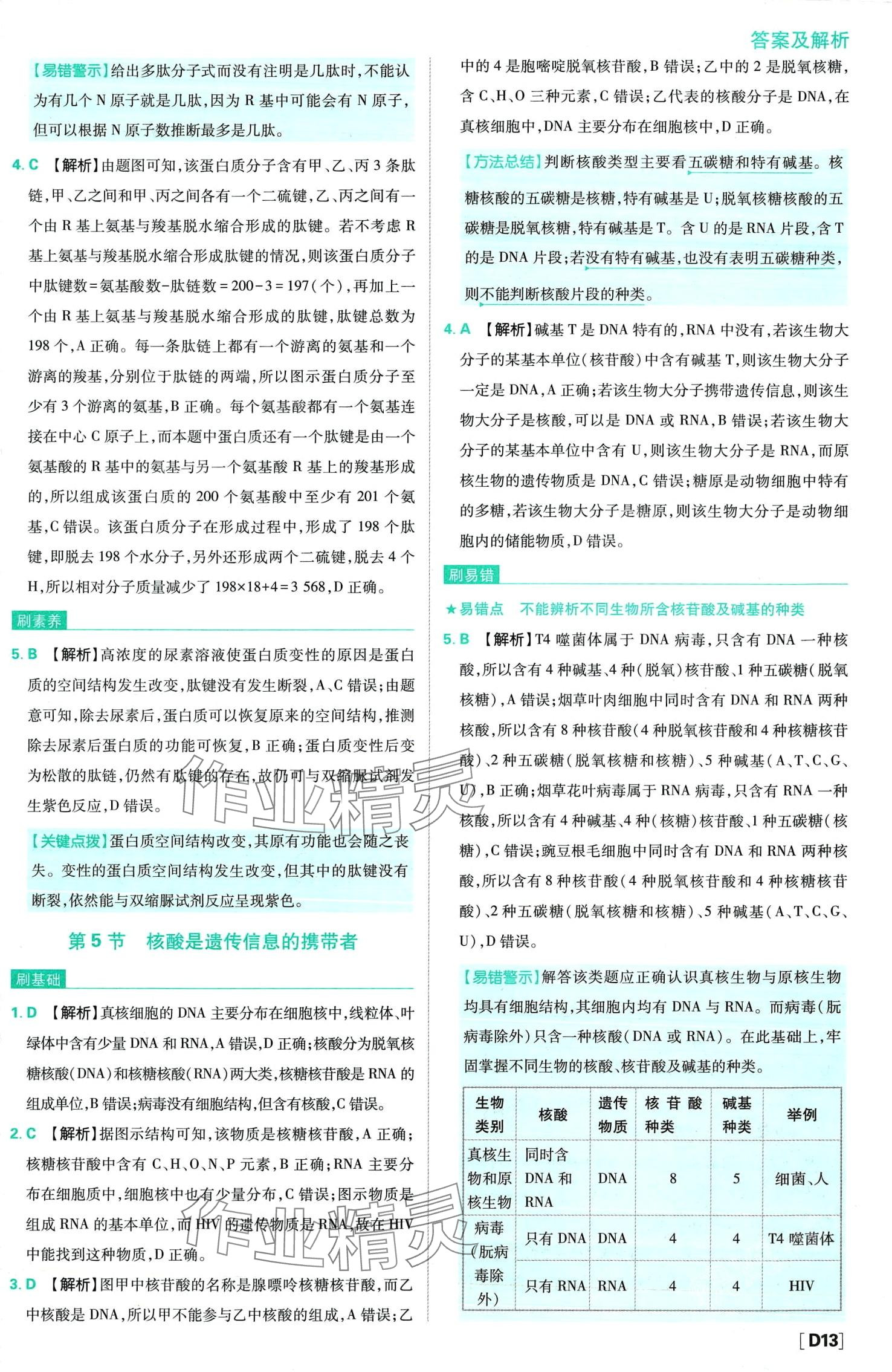 2024年高中必刷題（分子與細(xì)胞）高中生物必修1人教版 第17頁(yè)