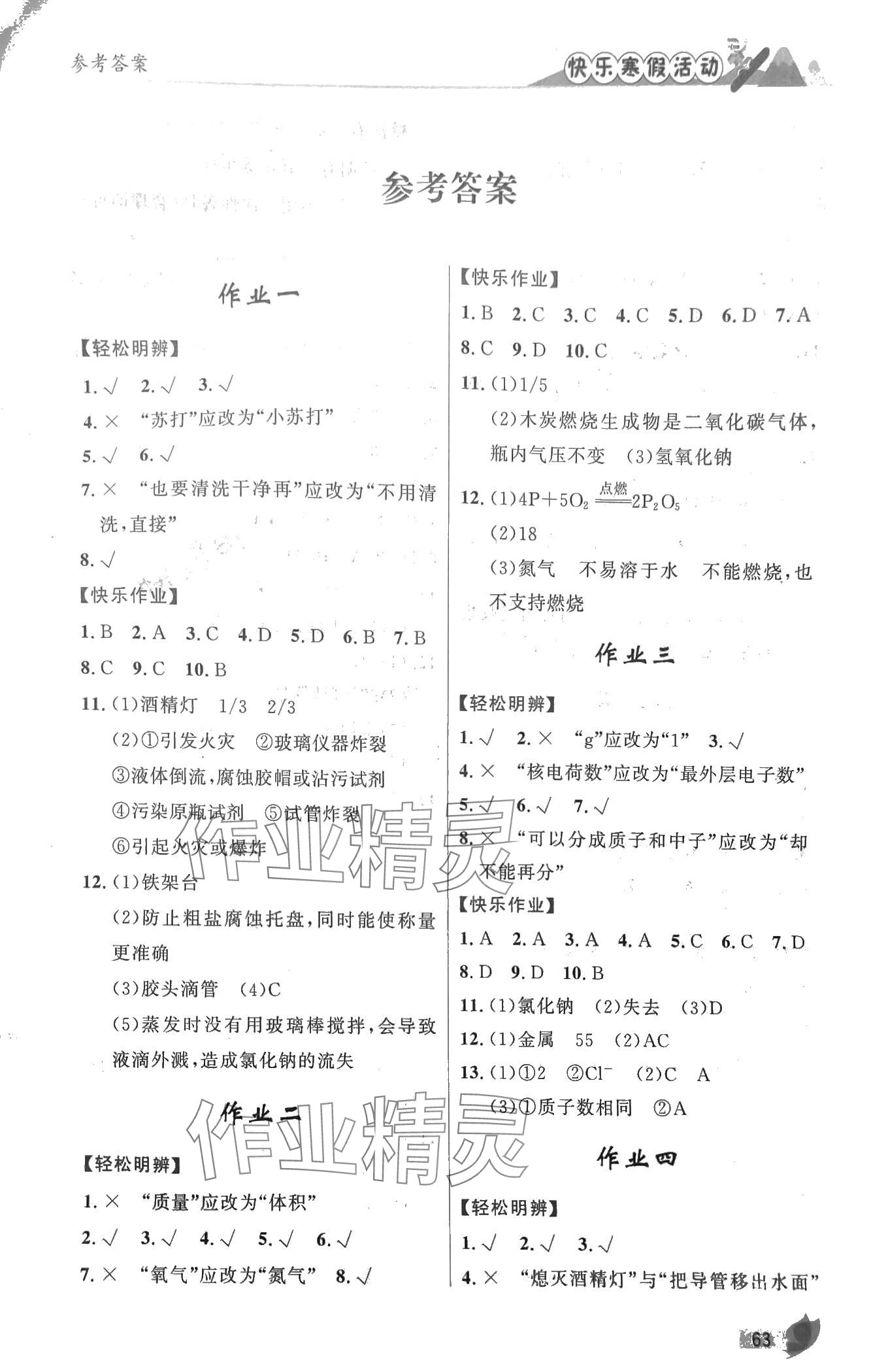 2024年快樂寒假活動九年級化學 第1頁