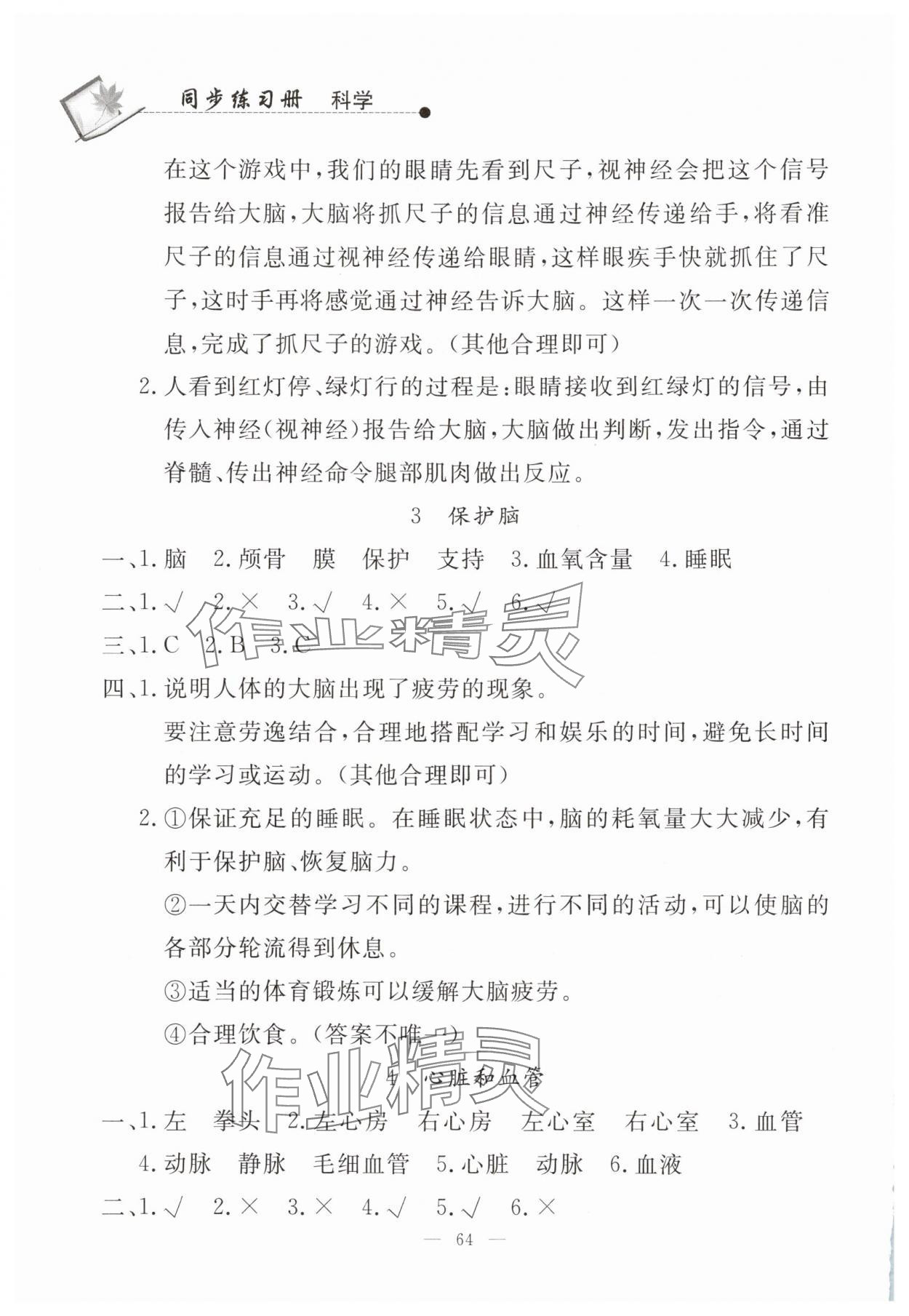2025年同步练习册山东科学技术出版社五年级科学下册青岛版 第2页