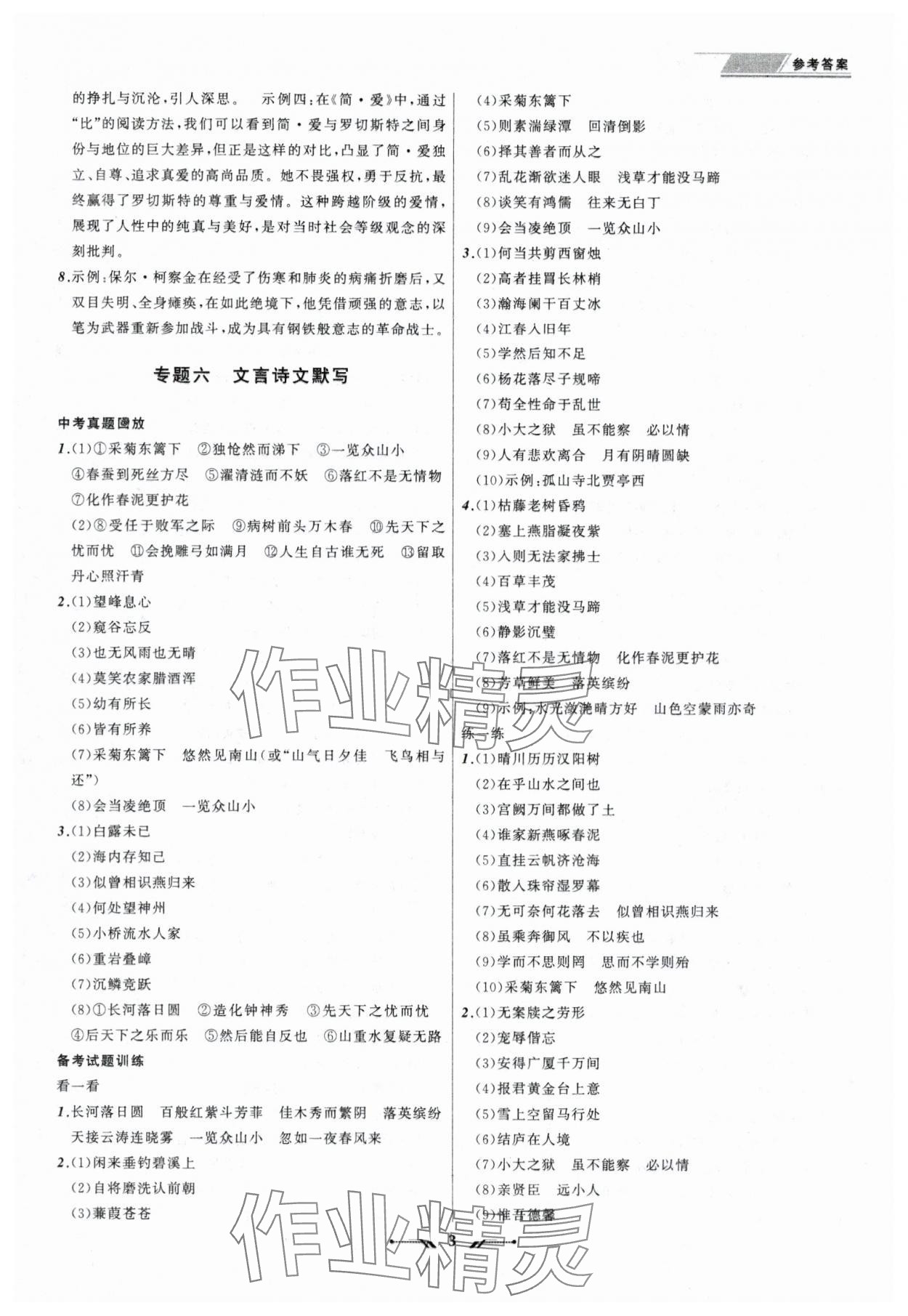 2025年中考全程复习训练语文 第3页