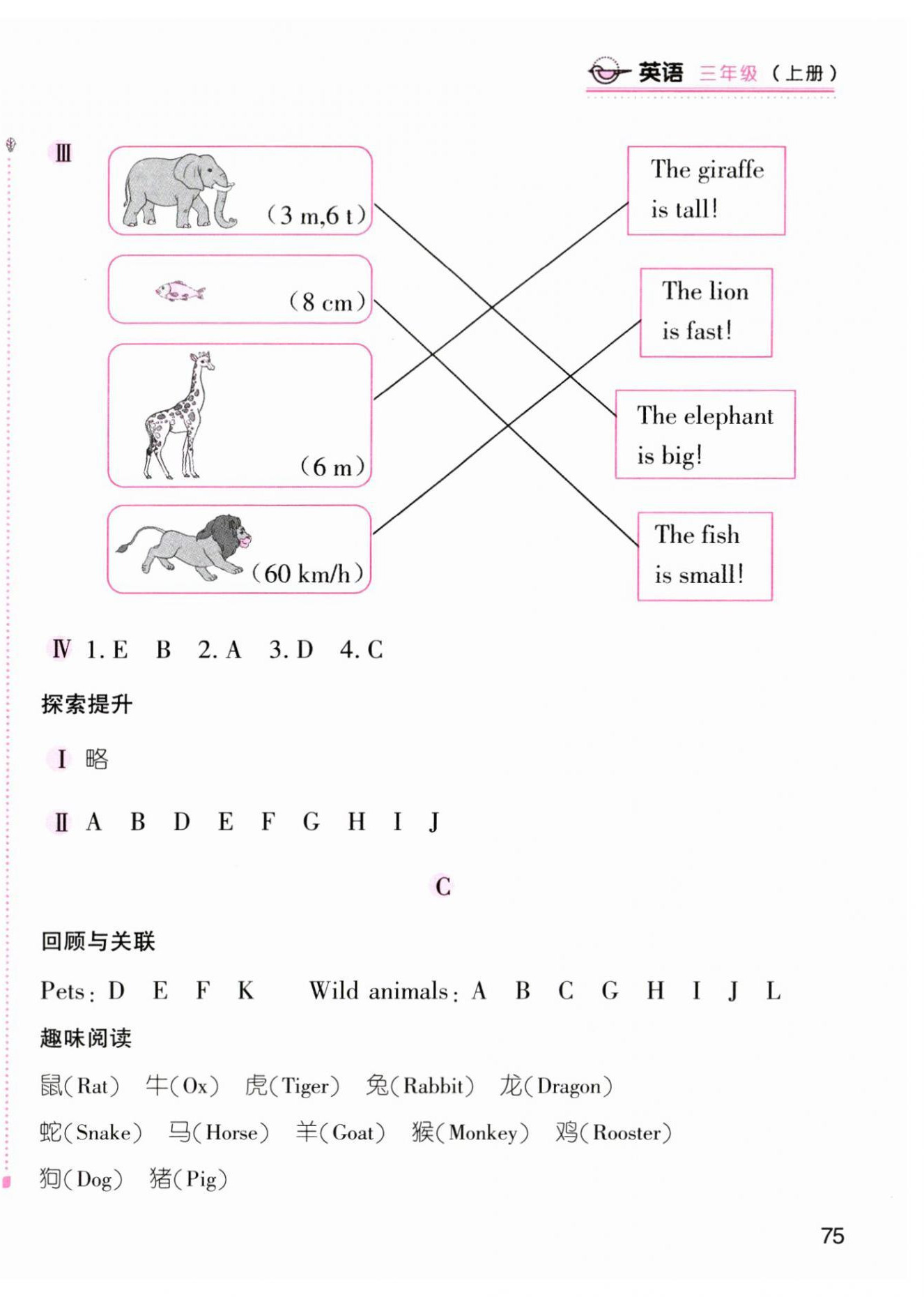 2025年新编基础训练三年级英语上册人教版 第6页
