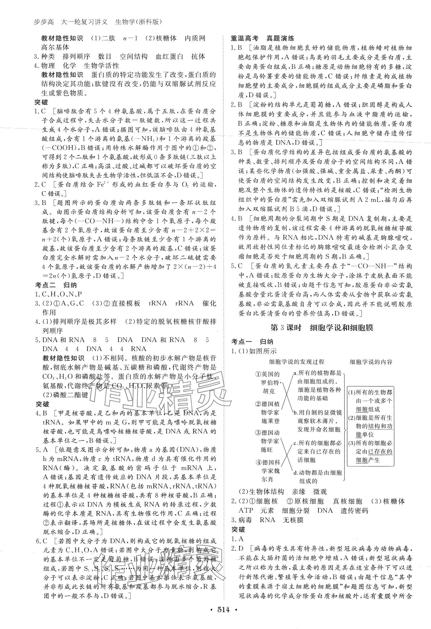 2024年步步高大一輪復習講義高中生物浙科版 第4頁