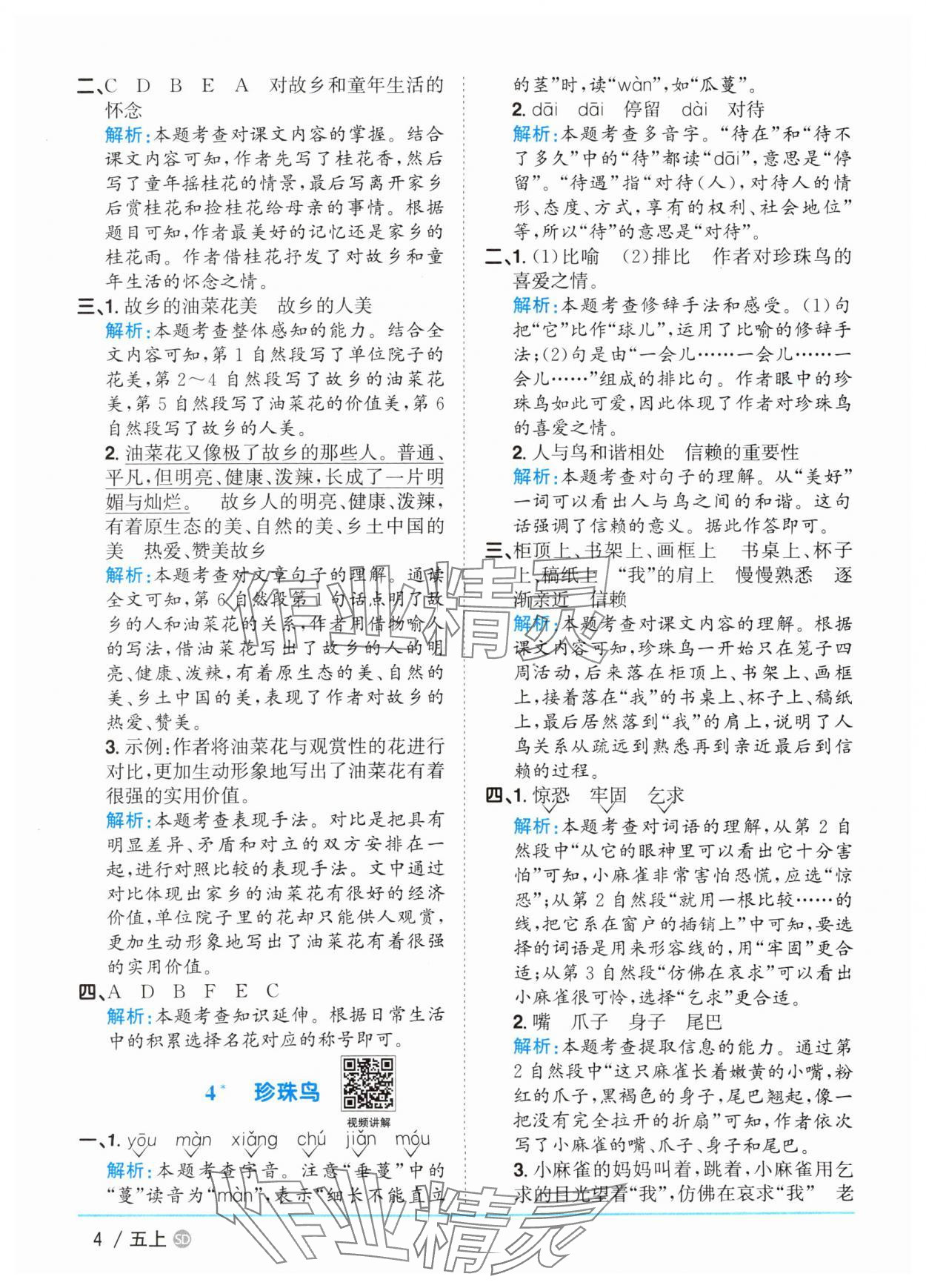 2025年陽光同學(xué)課時(shí)優(yōu)化作業(yè)五年級語文上冊人教版菏澤專版 第4頁