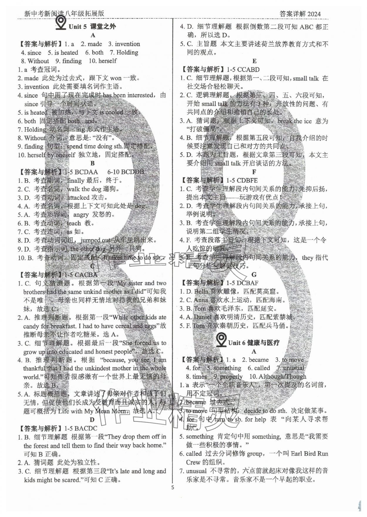 2024年新中考新阅读八年级英语深圳专版&nbsp;参考答案第5页