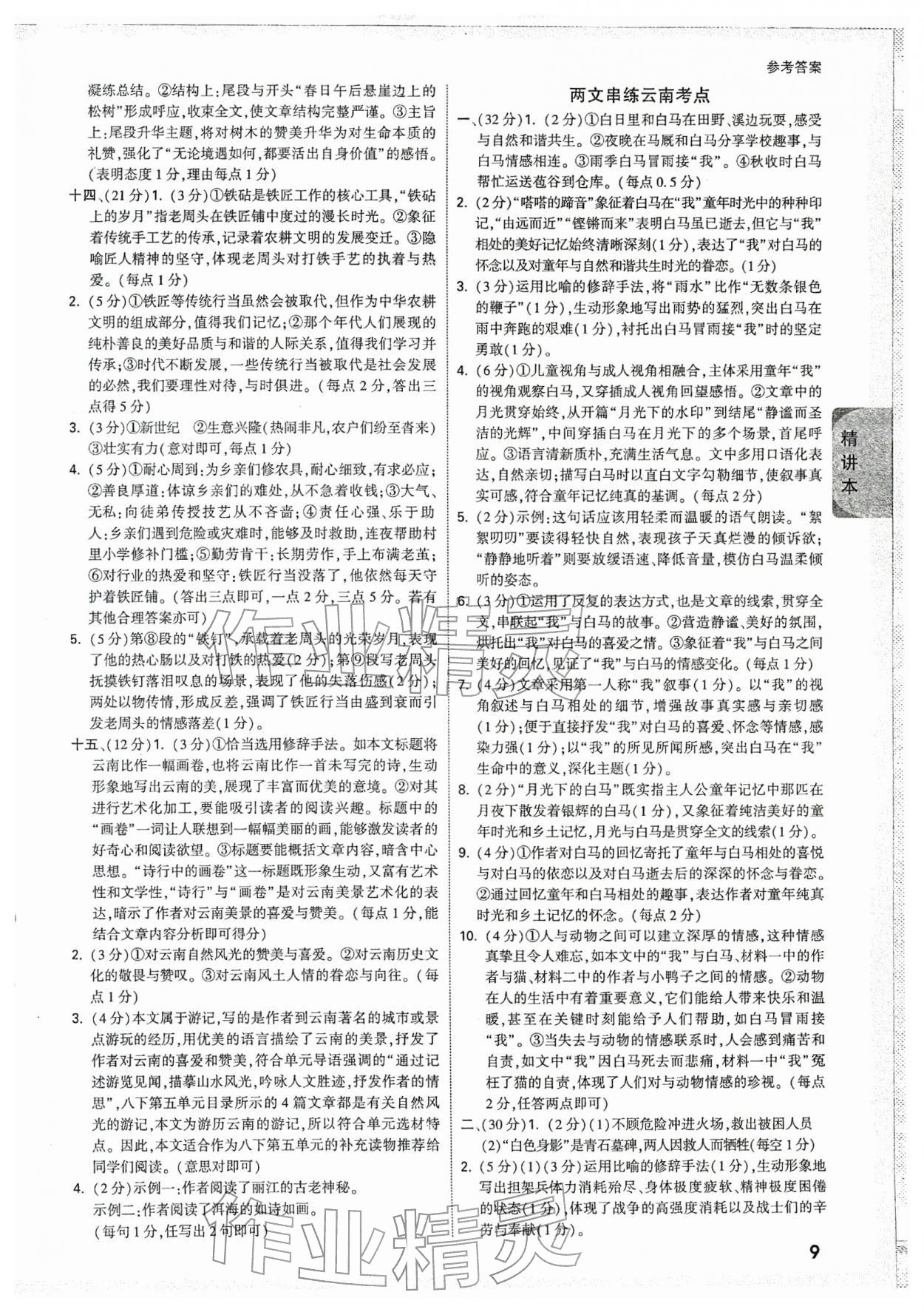 2026年萬唯中考試題研究語文云南專版&nbsp;參考答案第9頁