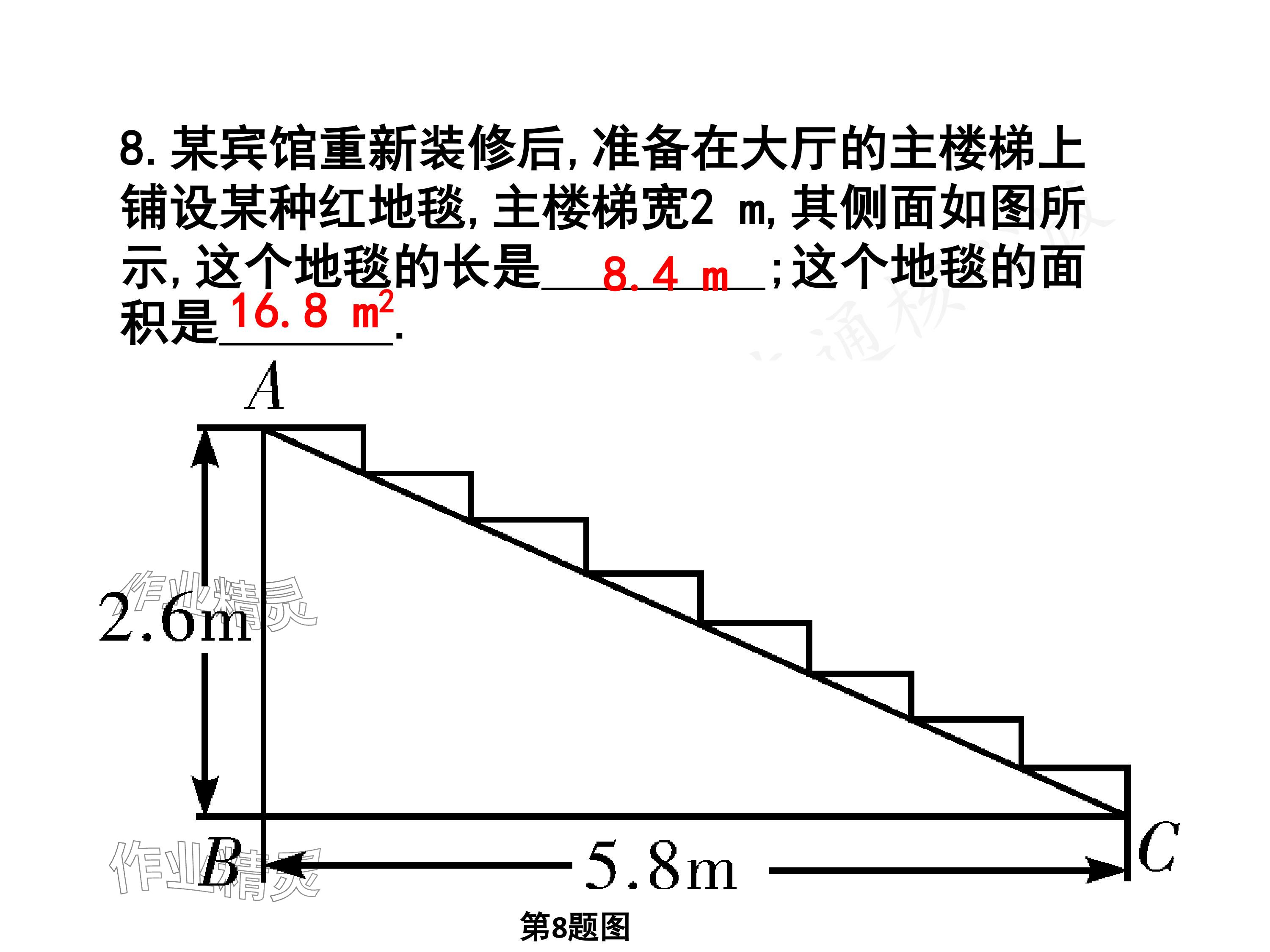 2024年一本通武漢出版社八年級數(shù)學(xué)下冊北師大版核心板 參考答案第11頁