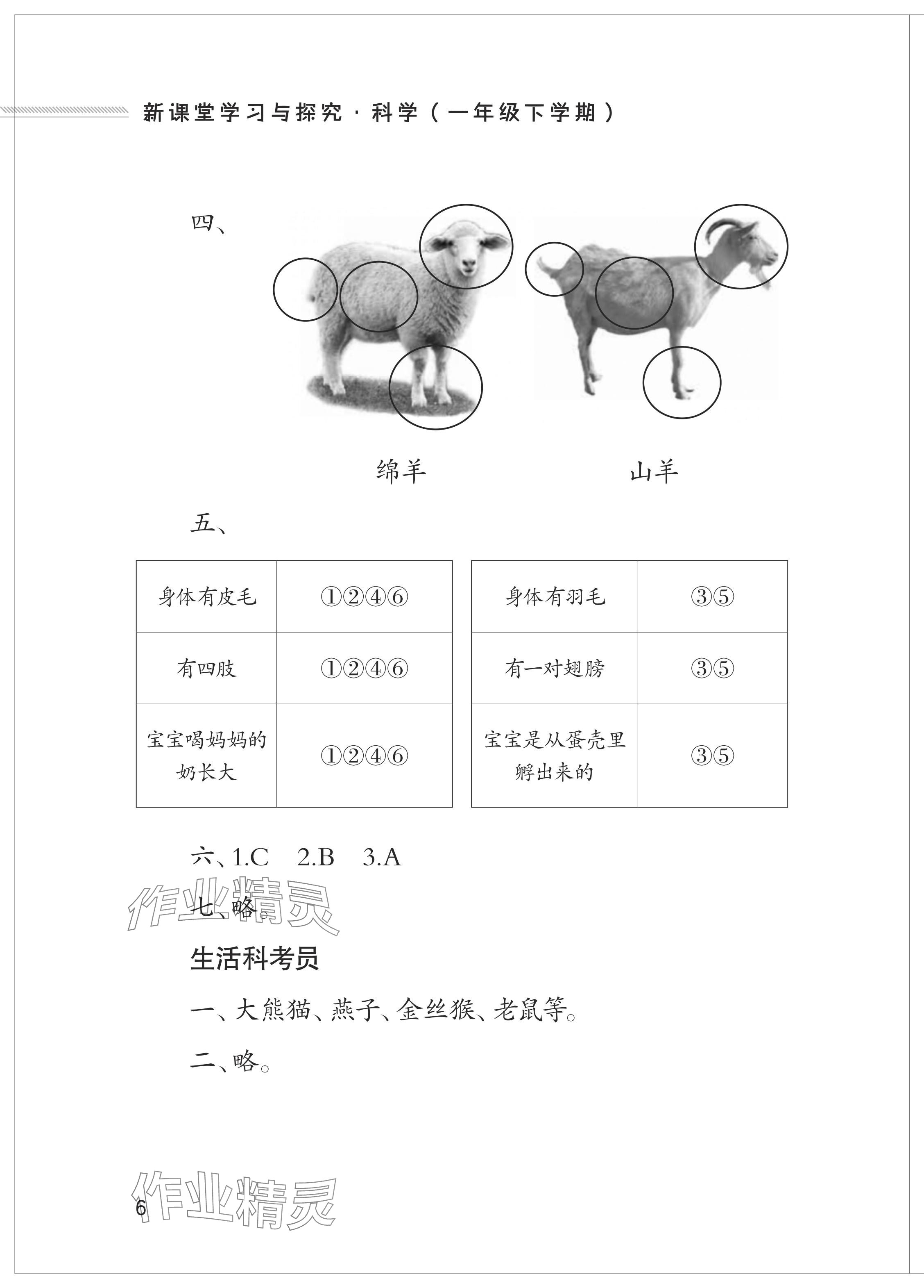 2024年新課堂學習與探究一年級科學下冊青島版 參考答案第6頁