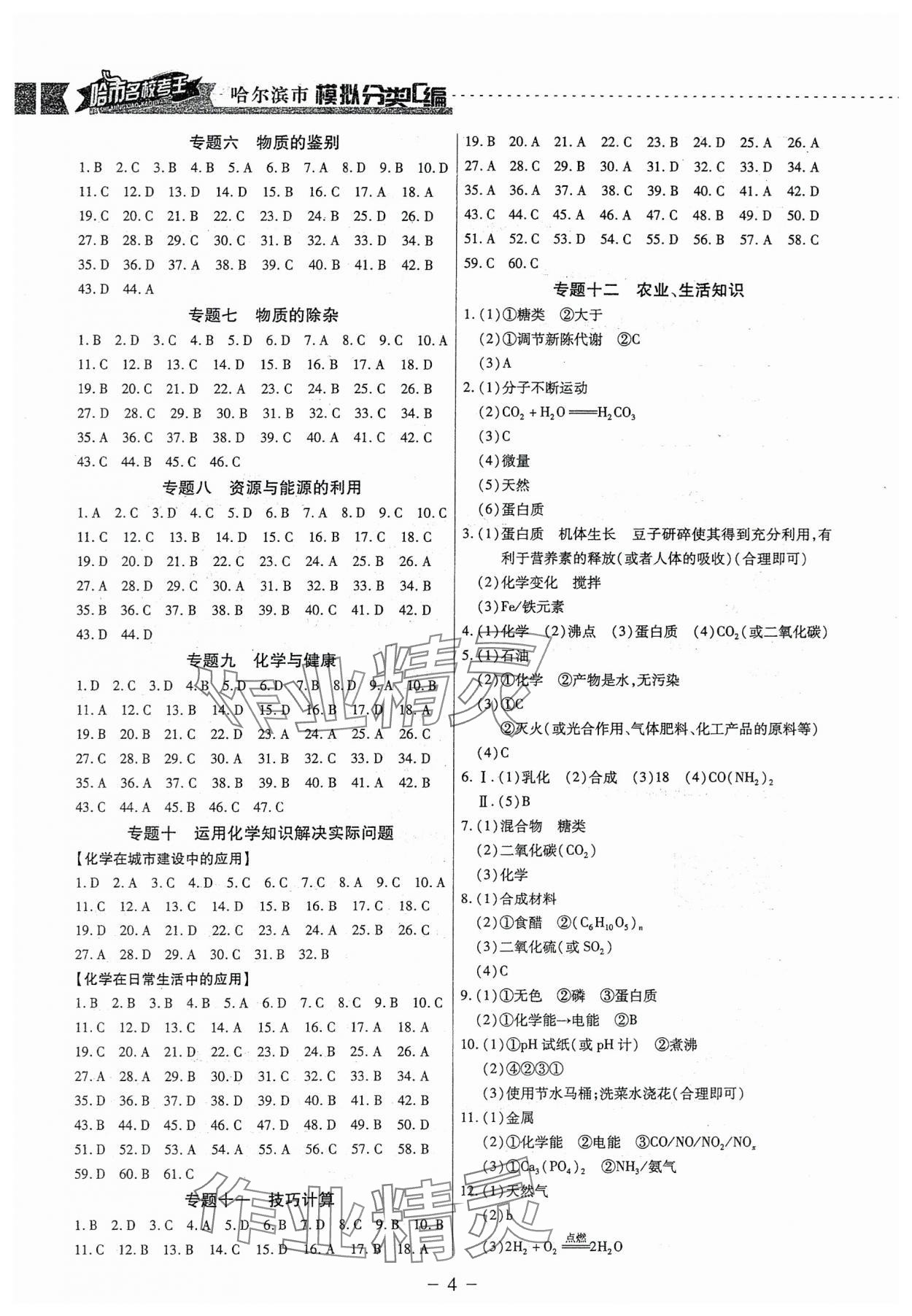 2025年哈市名?？纪醴诸悈R編化學(xué)哈爾濱專版 參考答案第4頁(yè)