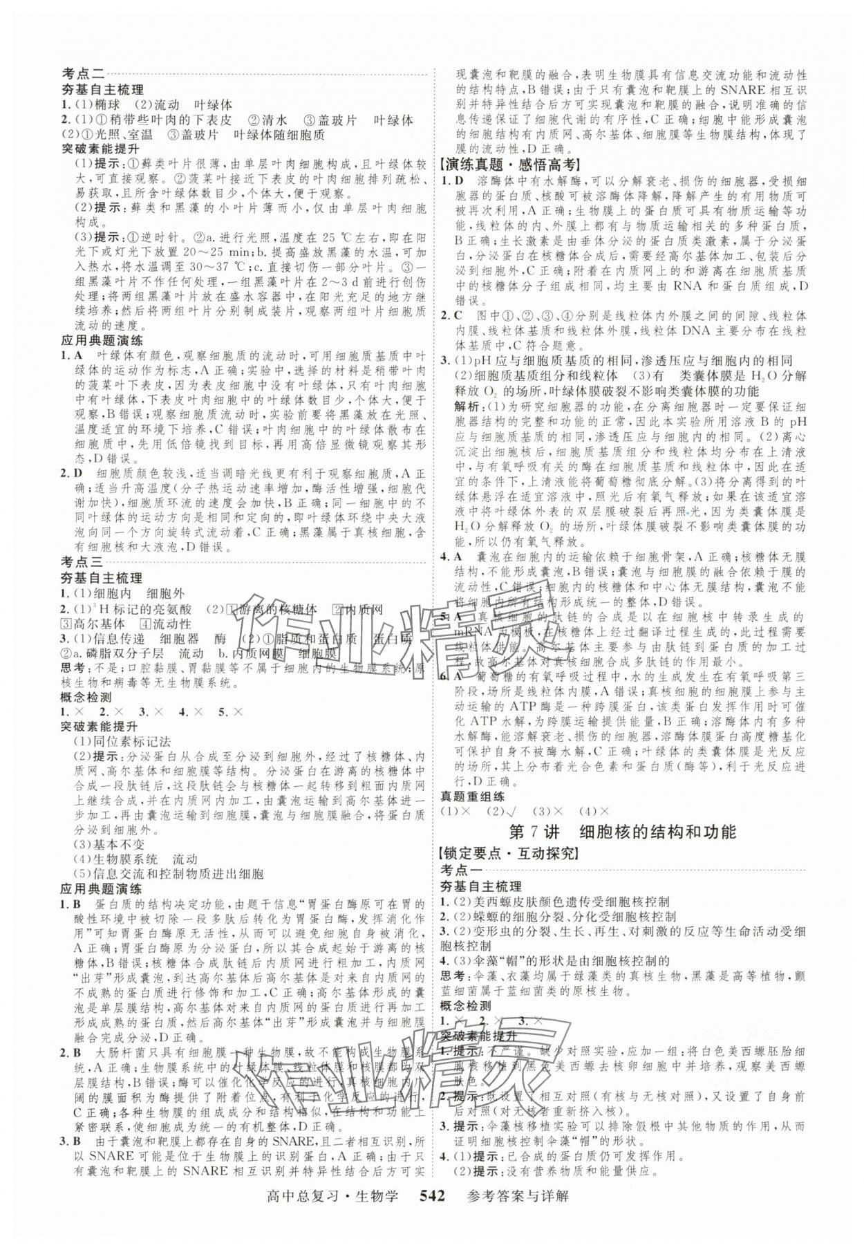 2024年三维设计生物 参考答案第6页