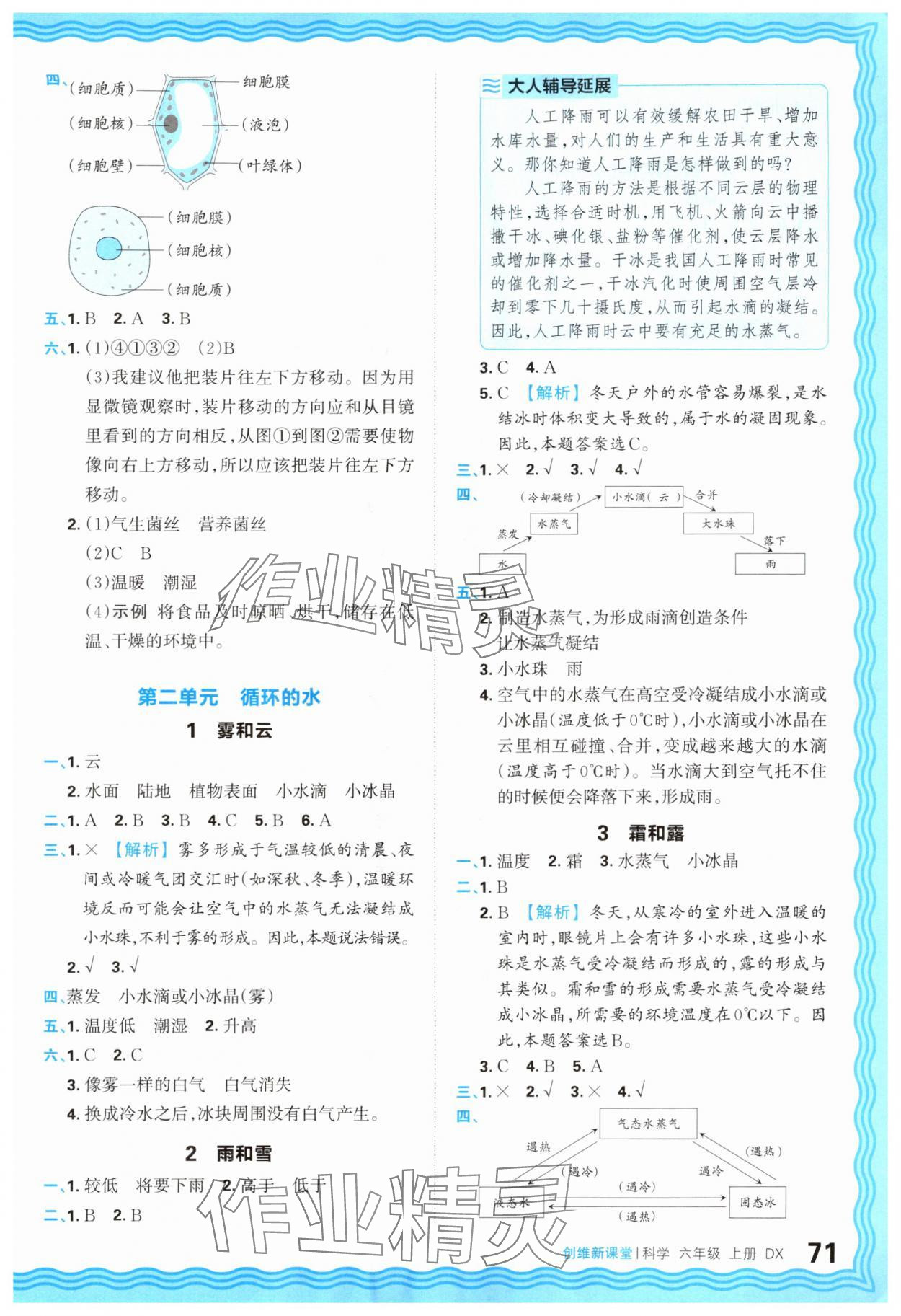 2025年创维新课堂六年级科学上册大象版 参考答案第3页