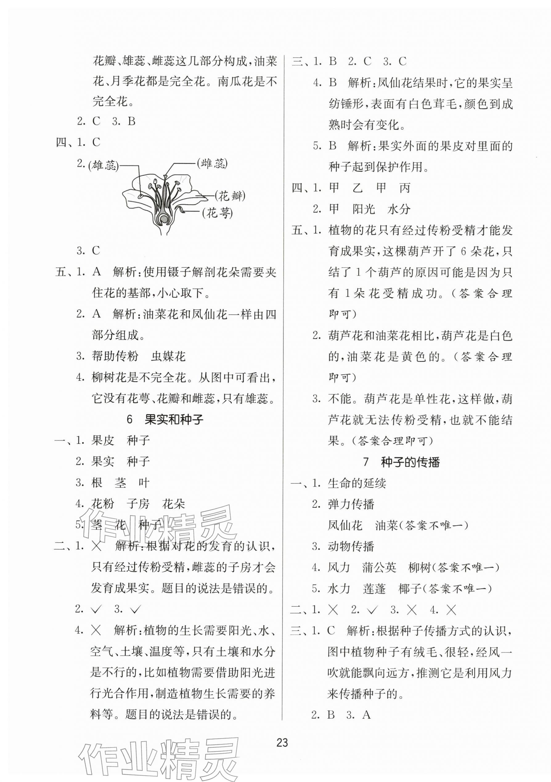 2026年同步课时练四年级科学下册教科版&nbsp;参考答案第3页