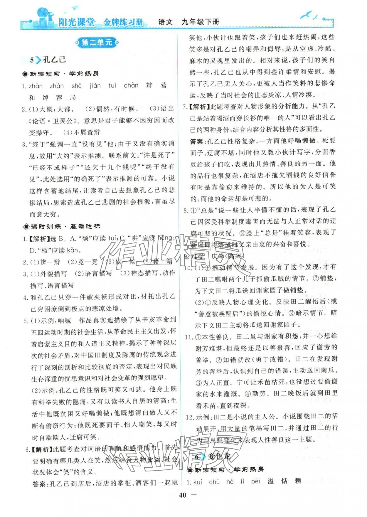 2025年阳光课堂金牌练习册九年级语文下册人教版 第4页