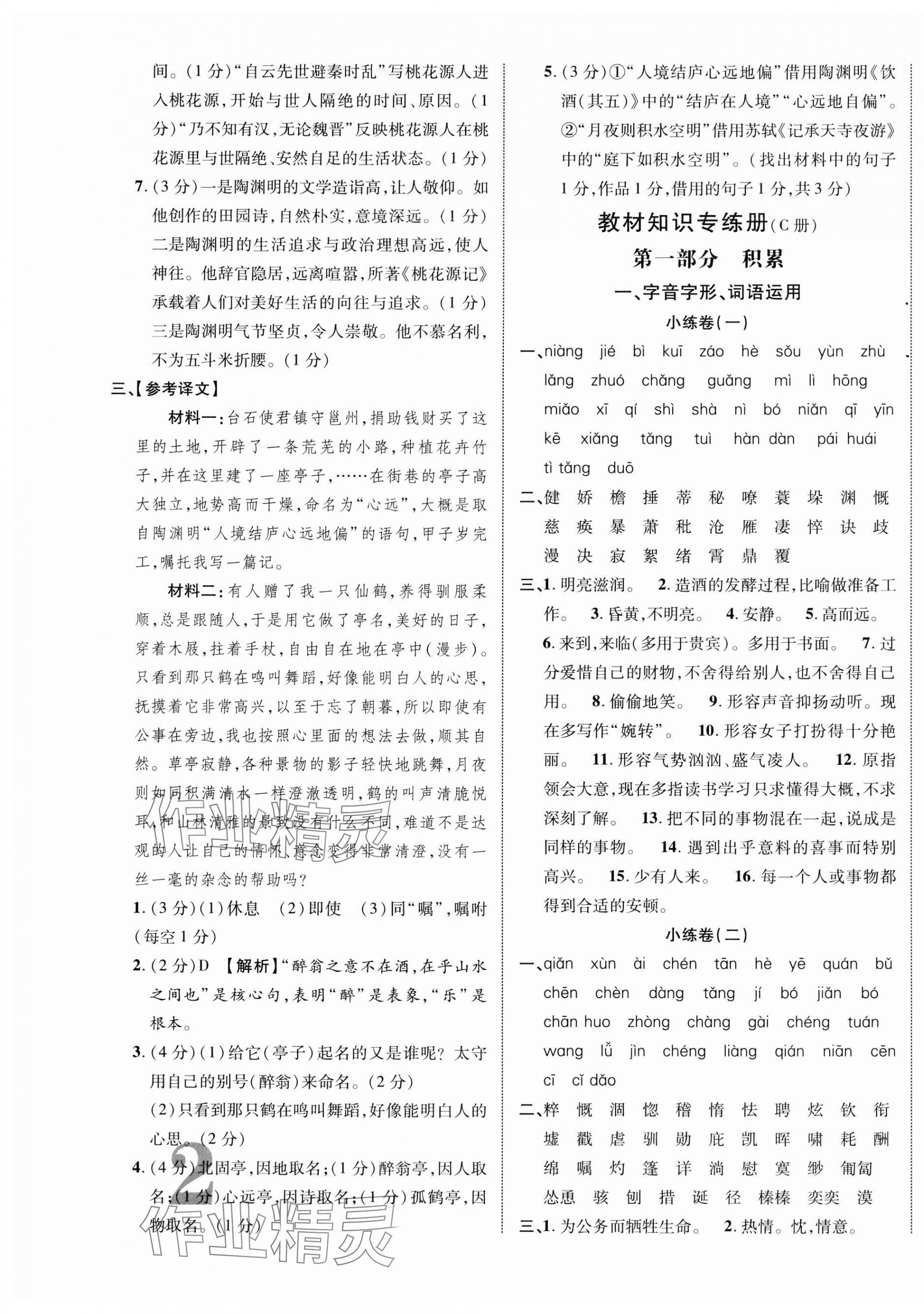 2024年優化指導語文中考廣西專版 第3頁