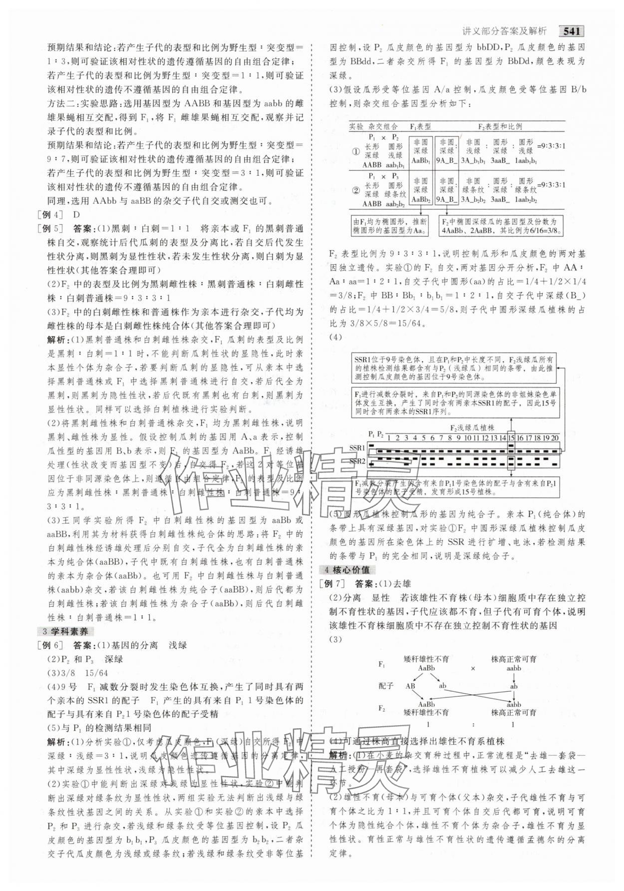 2025年金版教程高考科學(xué)復(fù)習(xí)解決方案生物創(chuàng)新版 第27頁