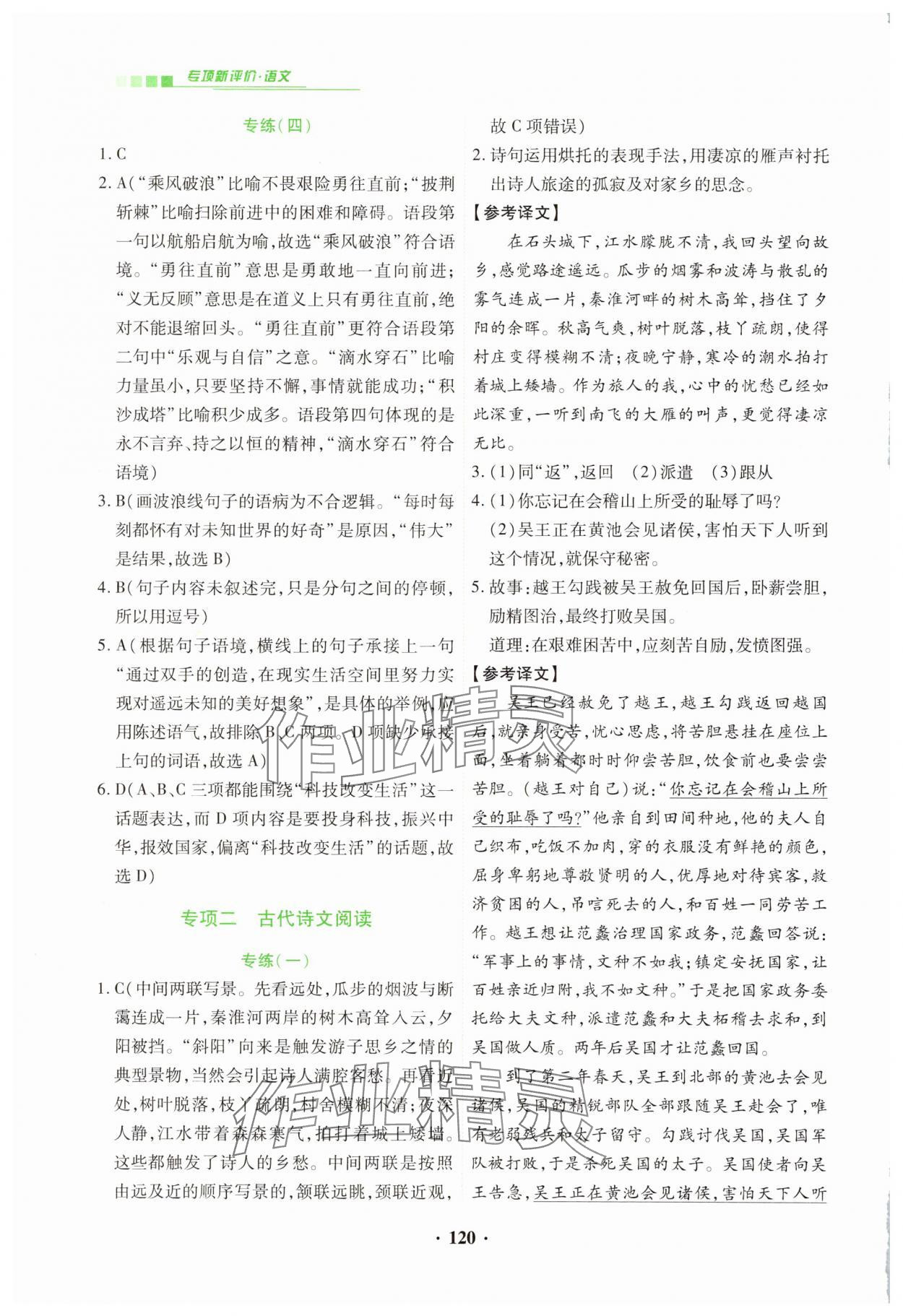 2025年專項新評價中考二輪語文 第2頁