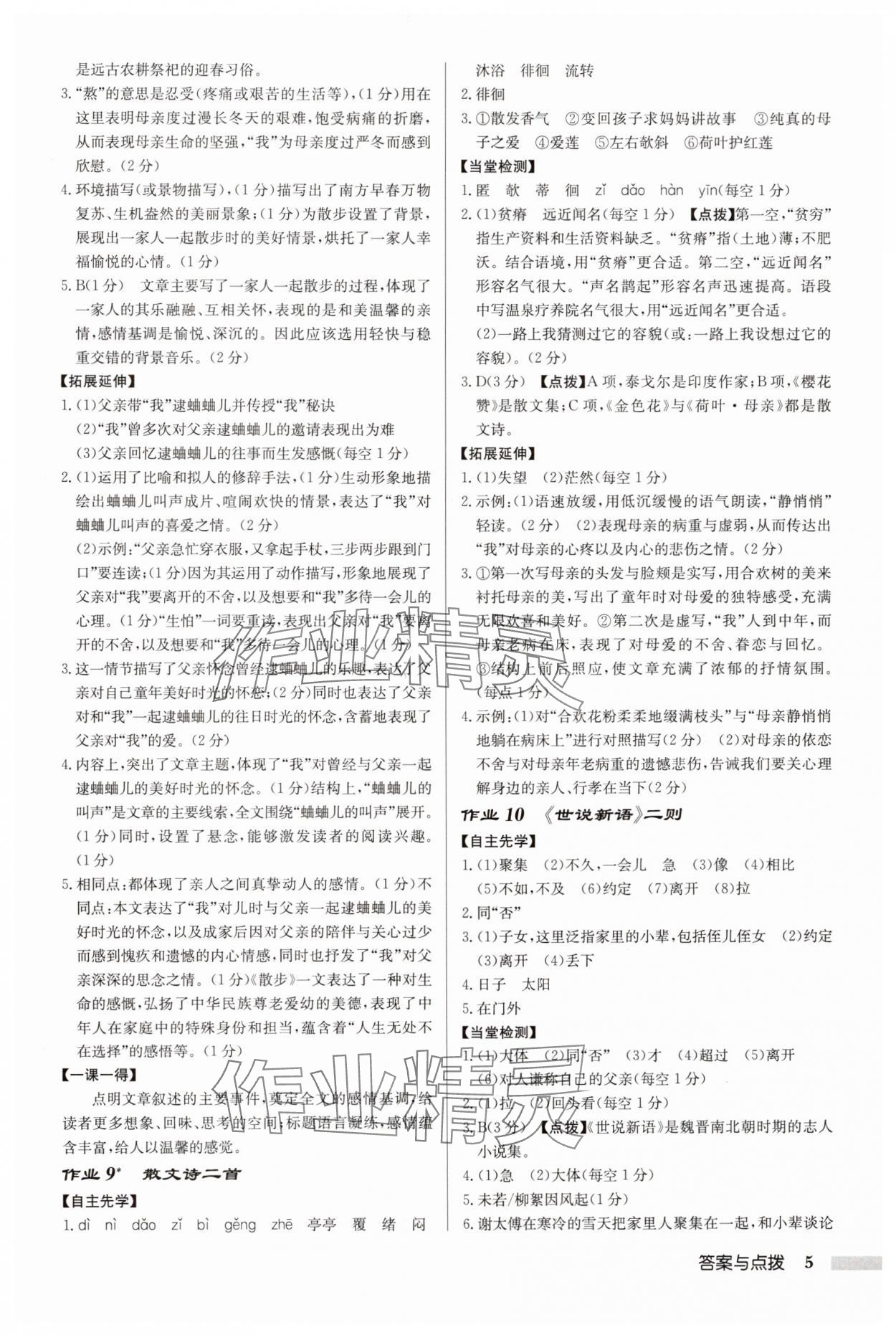 2025年啟東中學作業本七年級語文上冊人教版徐州專版 參考答案第5頁