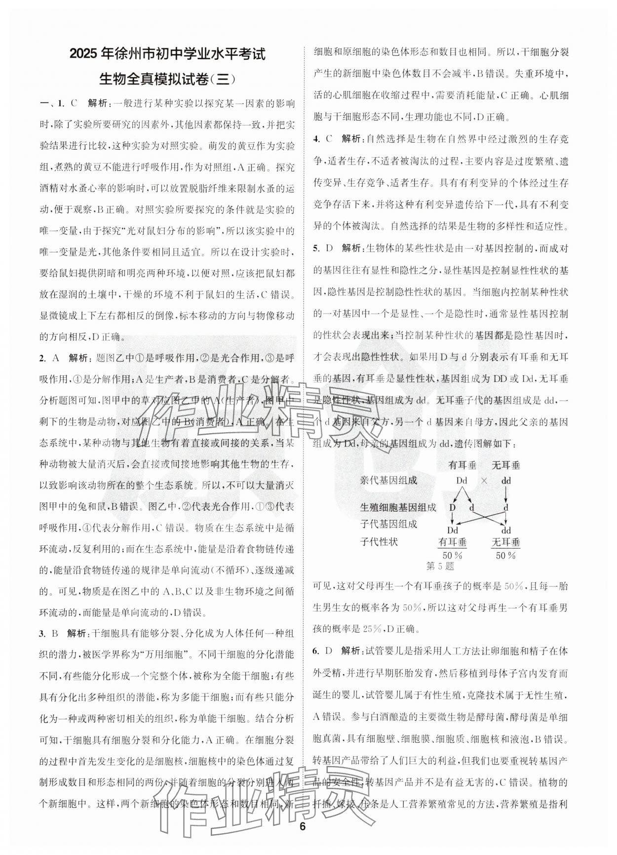 2025年拔尖中考沖刺卷生物徐州專版&nbsp;第6頁