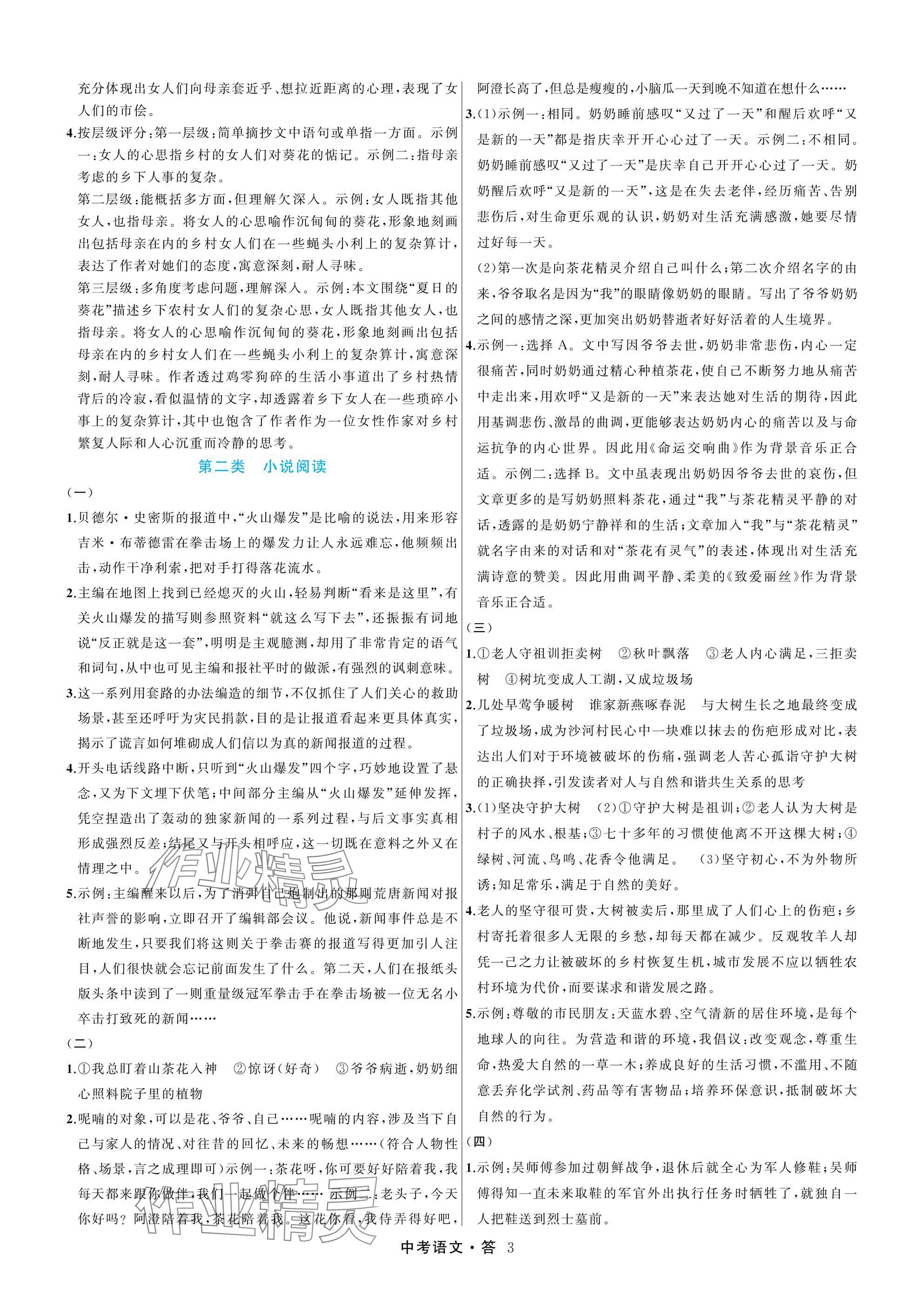 2026年名师面对面浙江新中考语文&nbsp;参考答案第3页