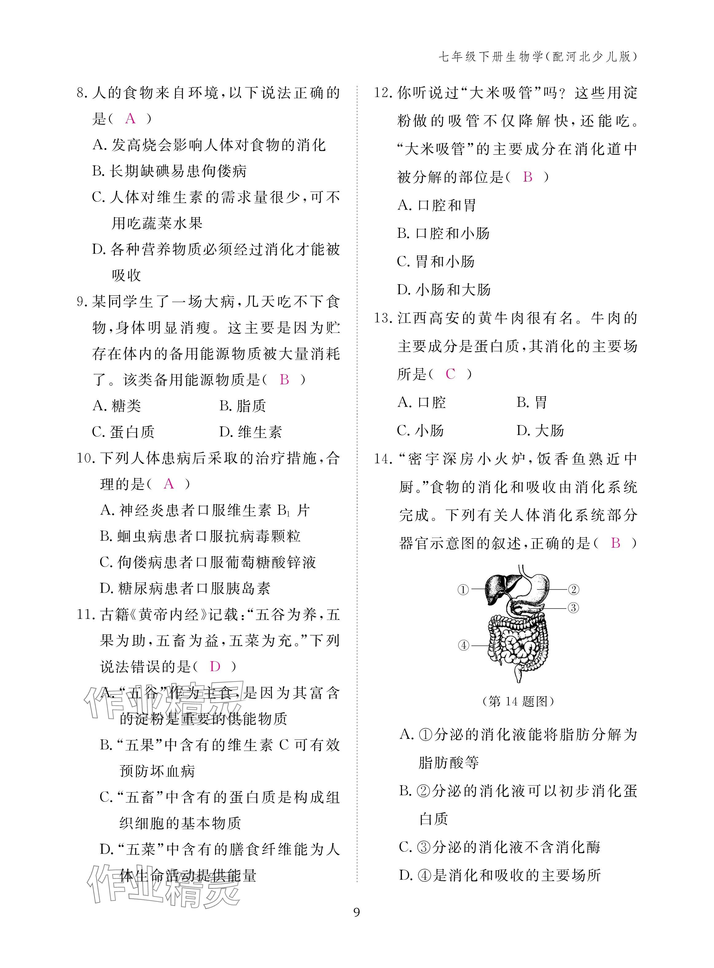 2025年作業(yè)本江西教育出版社七年級生物下冊冀少版 參考答案第9頁