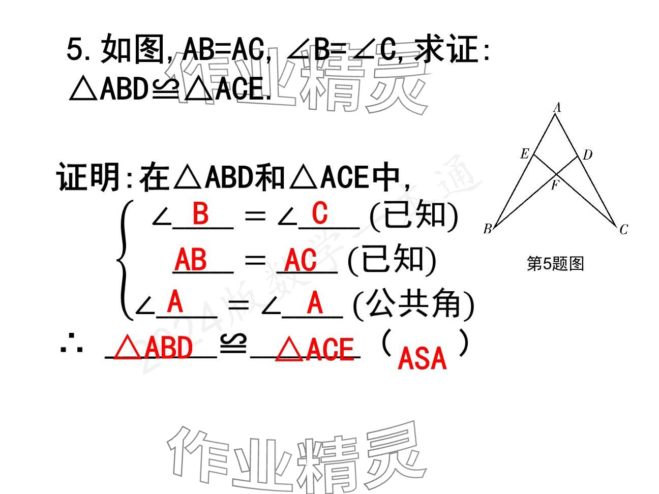 2025年一本通武漢出版社八年級數(shù)學(xué)下冊北師大版精簡版 參考答案第6頁