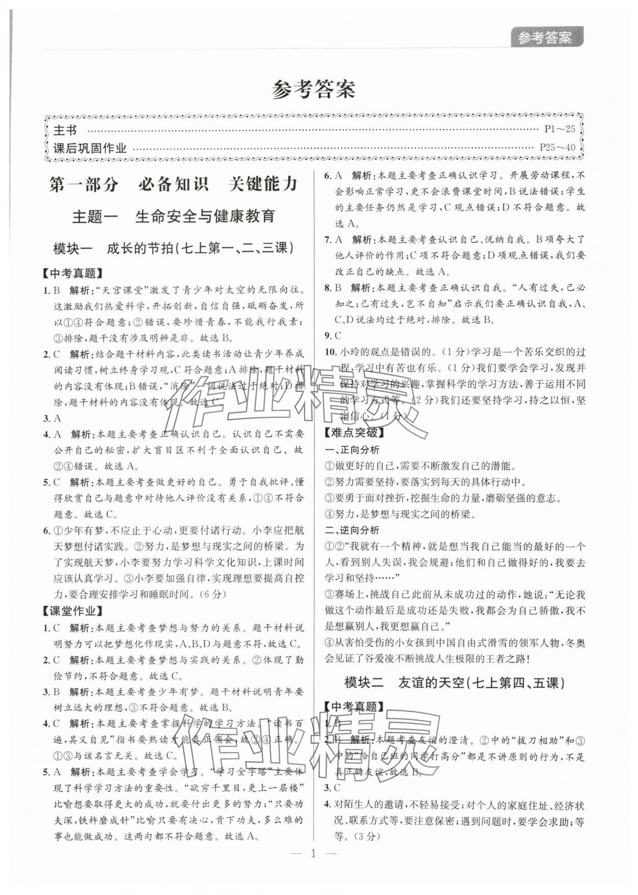 2024年廣東名師講練通中考總復習道德與法治深圳專版 第1頁