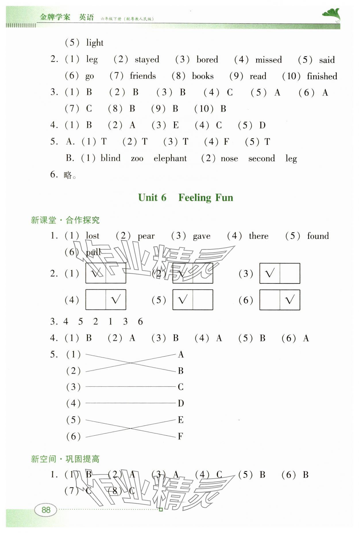 2025年南方新課堂金牌學(xué)案六年級英語下冊粵人版 參考答案第8頁