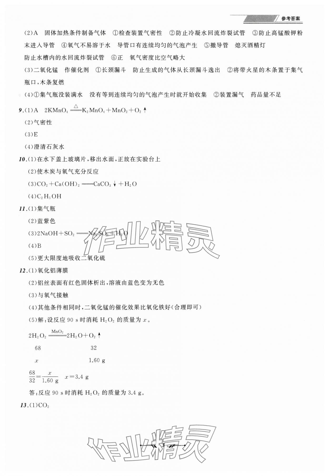 2025年中考全程復習訓練化學大連專版 參考答案第3頁