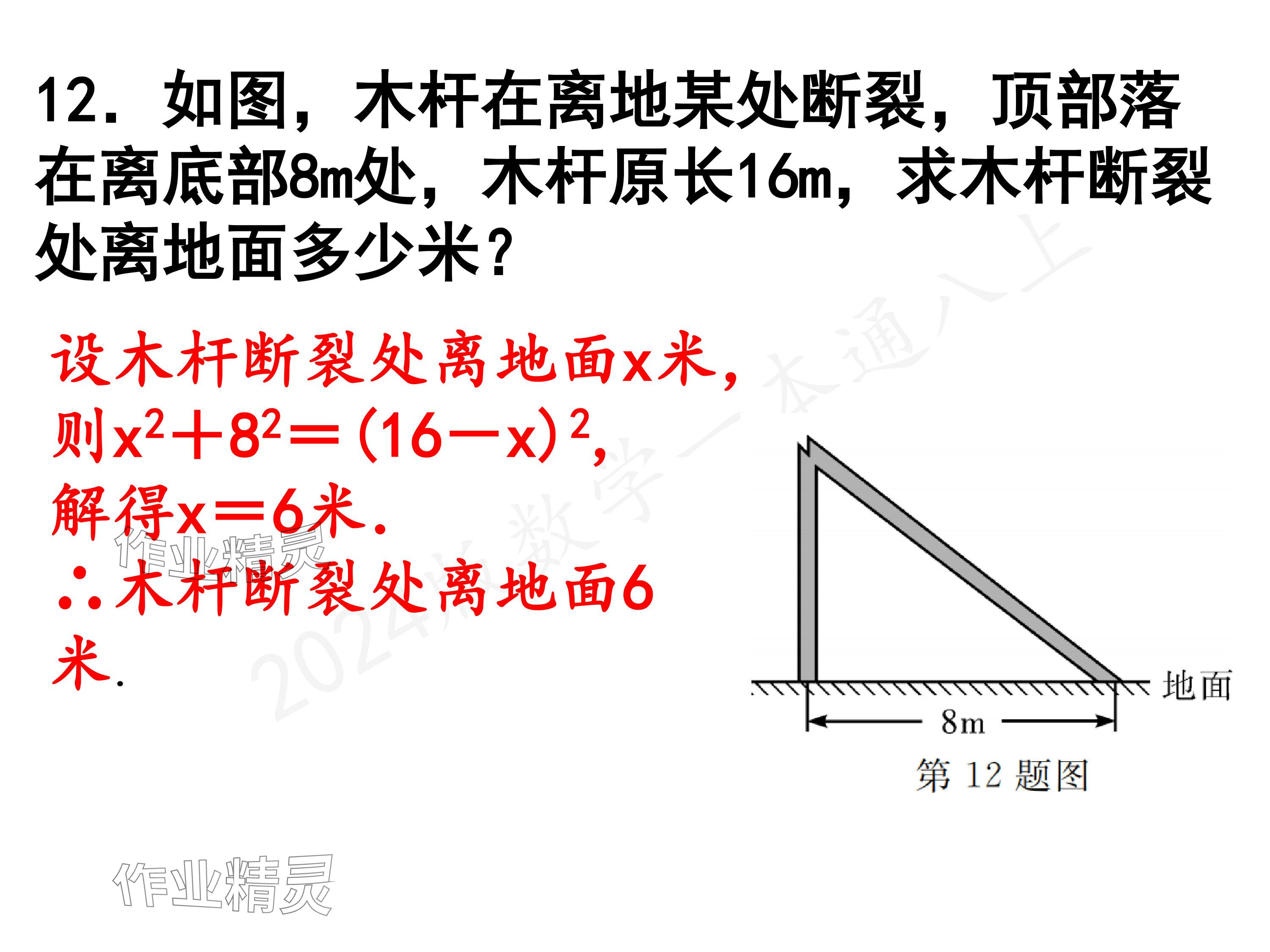 2024年一本通武漢出版社八年級(jí)數(shù)學(xué)上冊(cè)北師大版精簡(jiǎn)版 參考答案第13頁(yè)