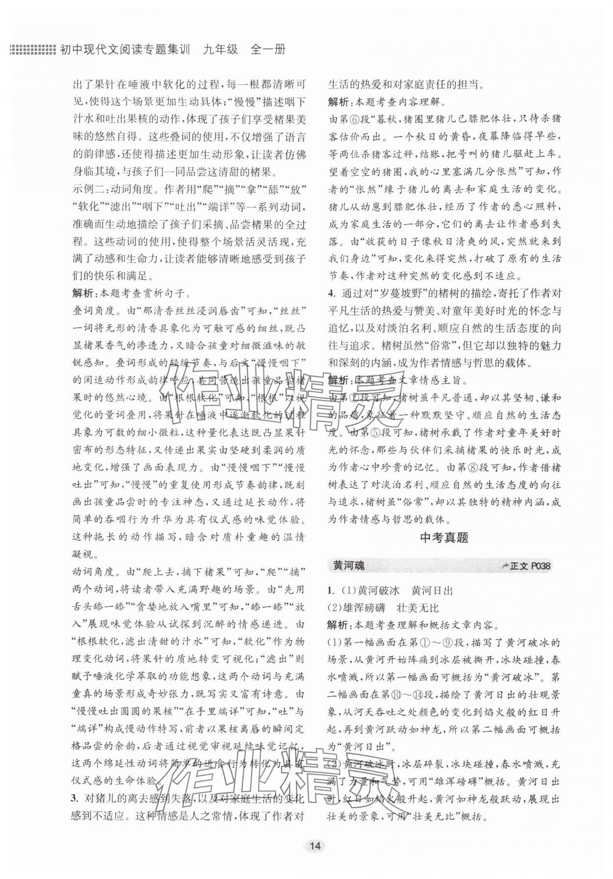 2025年初中现代文阅读专题集训九年级语文人教版&nbsp;第14页