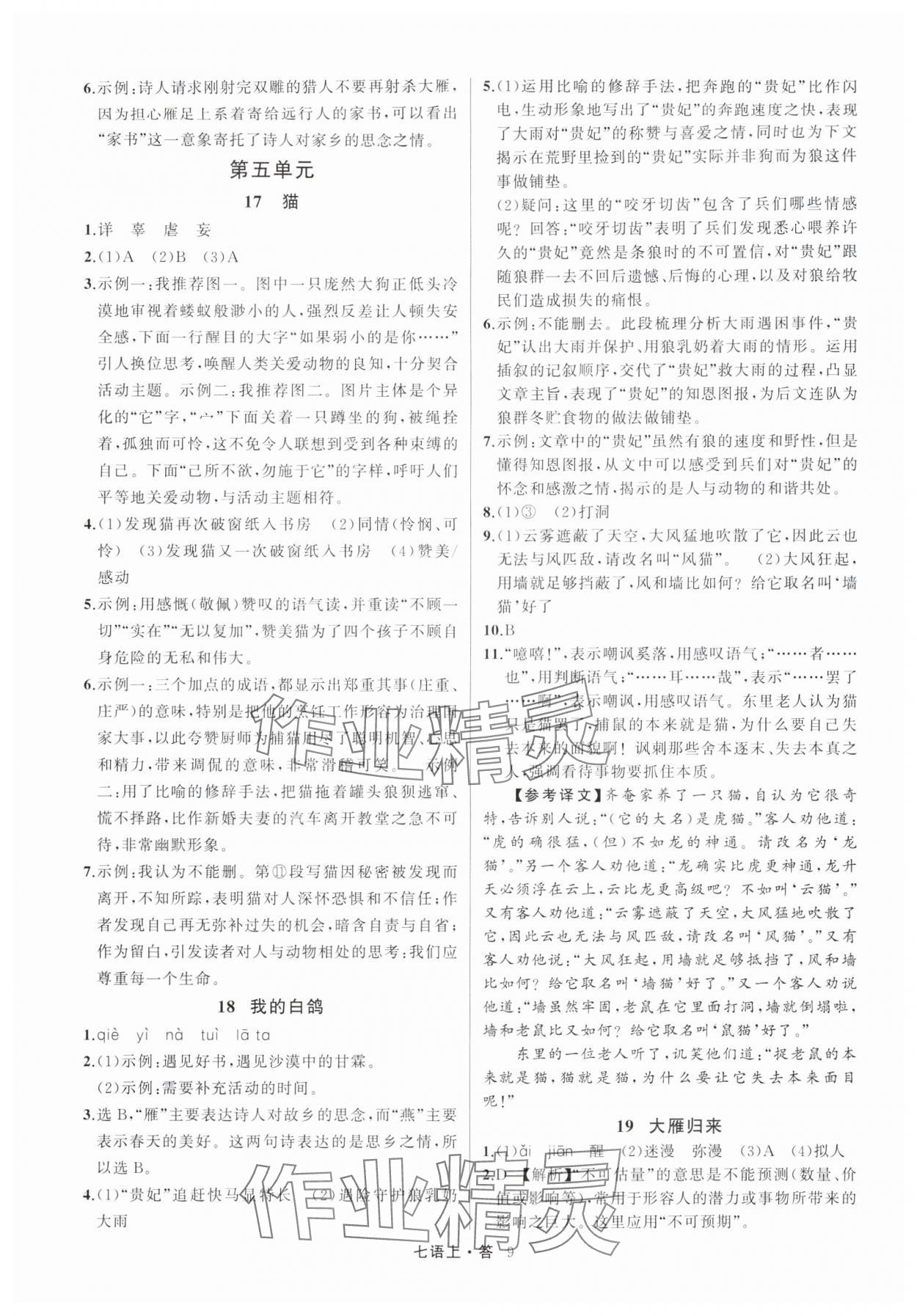 2025年名师面对面满分特训方案七年级语文上册人教版浙江专版 参考答案第9页