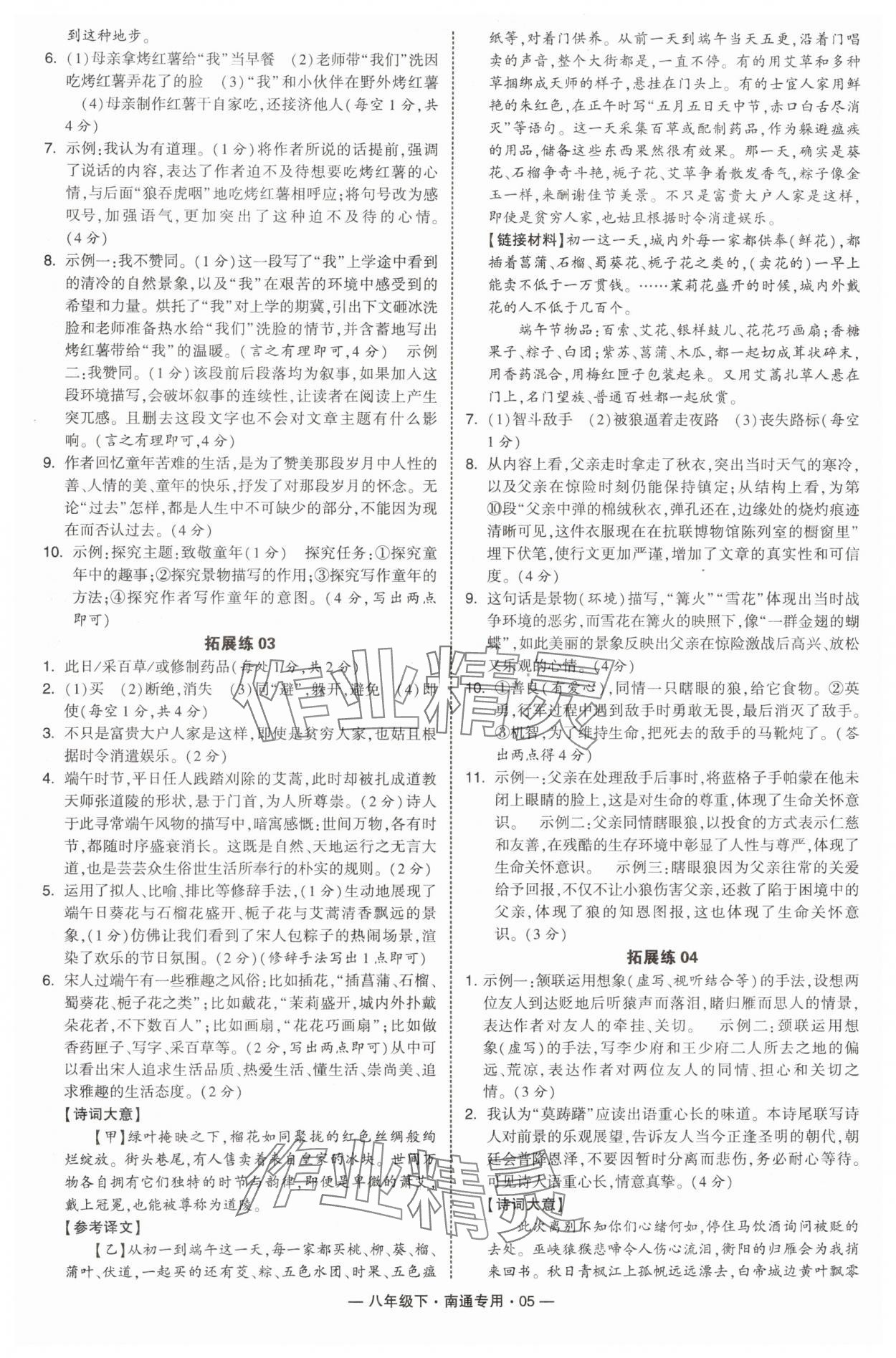 2025年學(xué)霸組合訓(xùn)練八年級語文下冊人教版南通專版 第5頁