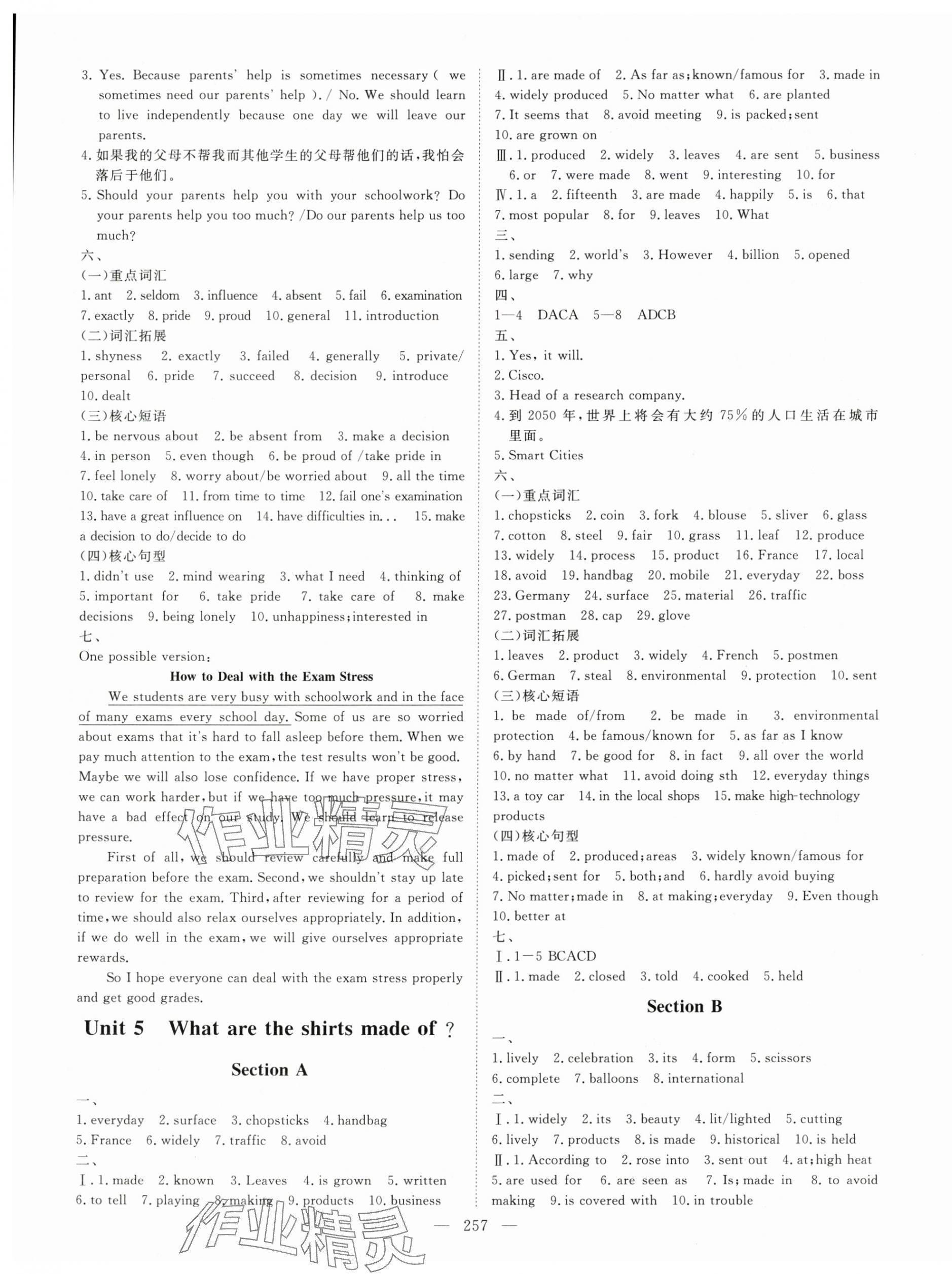 2024年練考風向標九年級英語全一冊人教版濟寧專版 參考答案第5頁